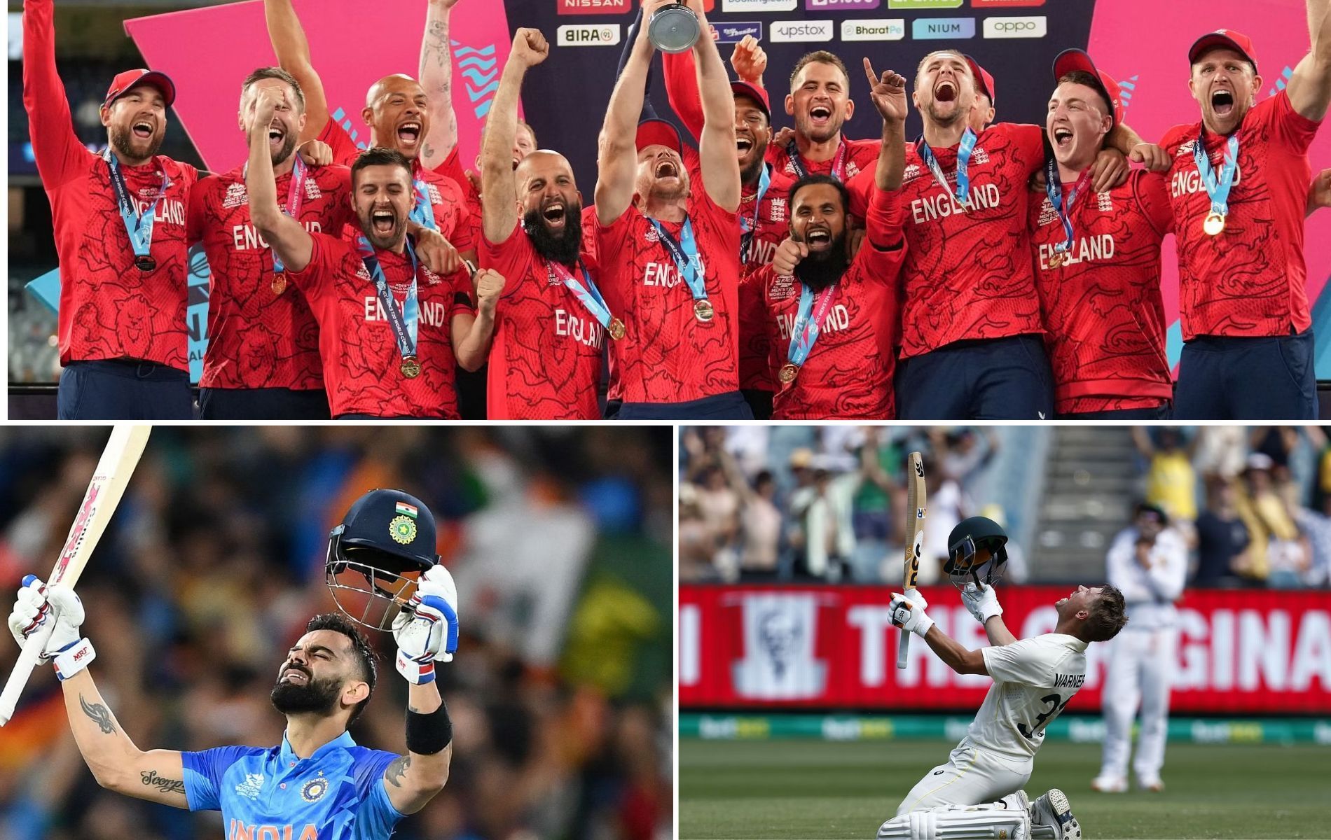 2022 cricket, year in review
