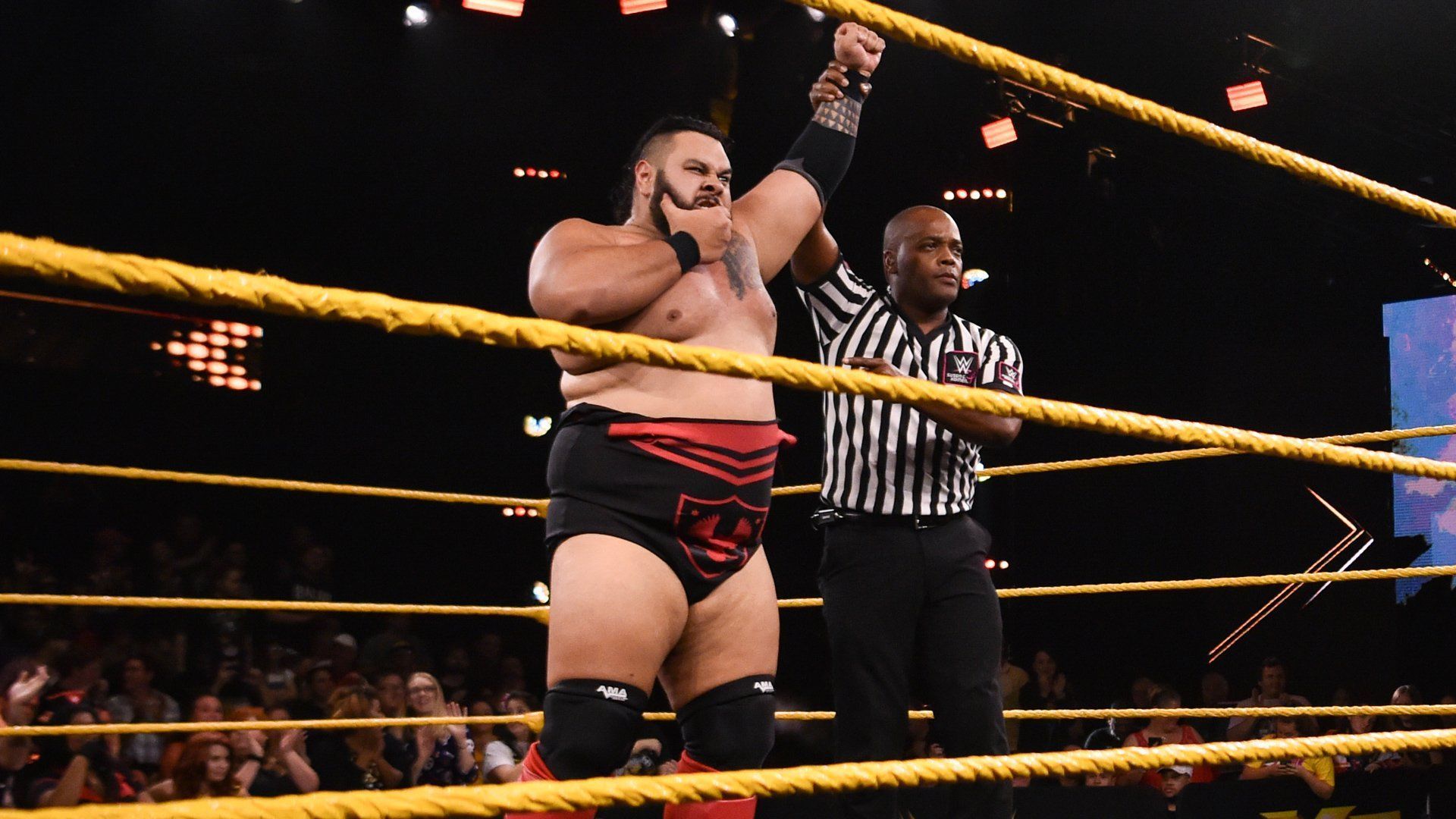 Bronson Reed in NXT.