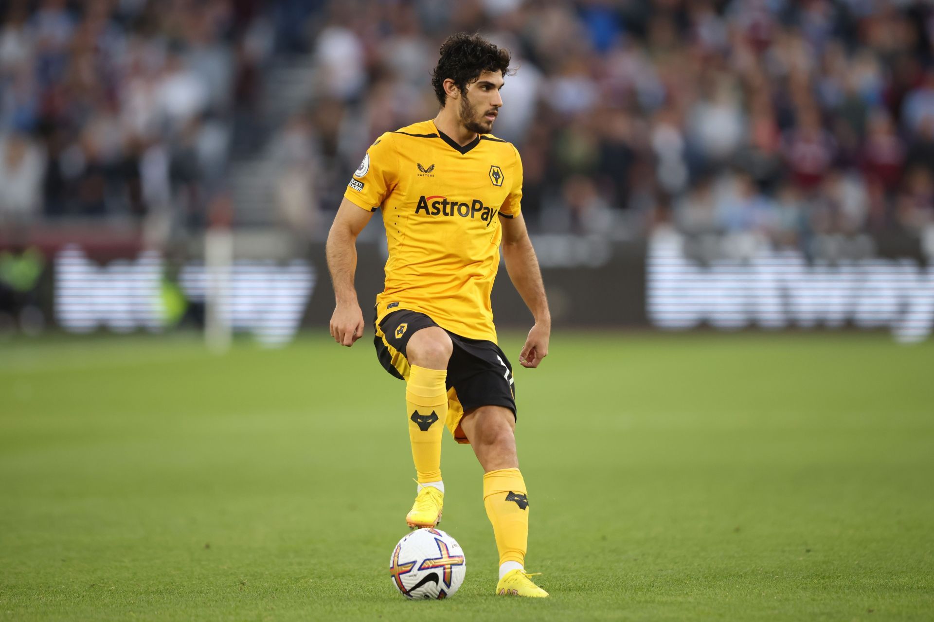 Goncalo Guedes is yet to show his true capabilities in a Wolves jersey
