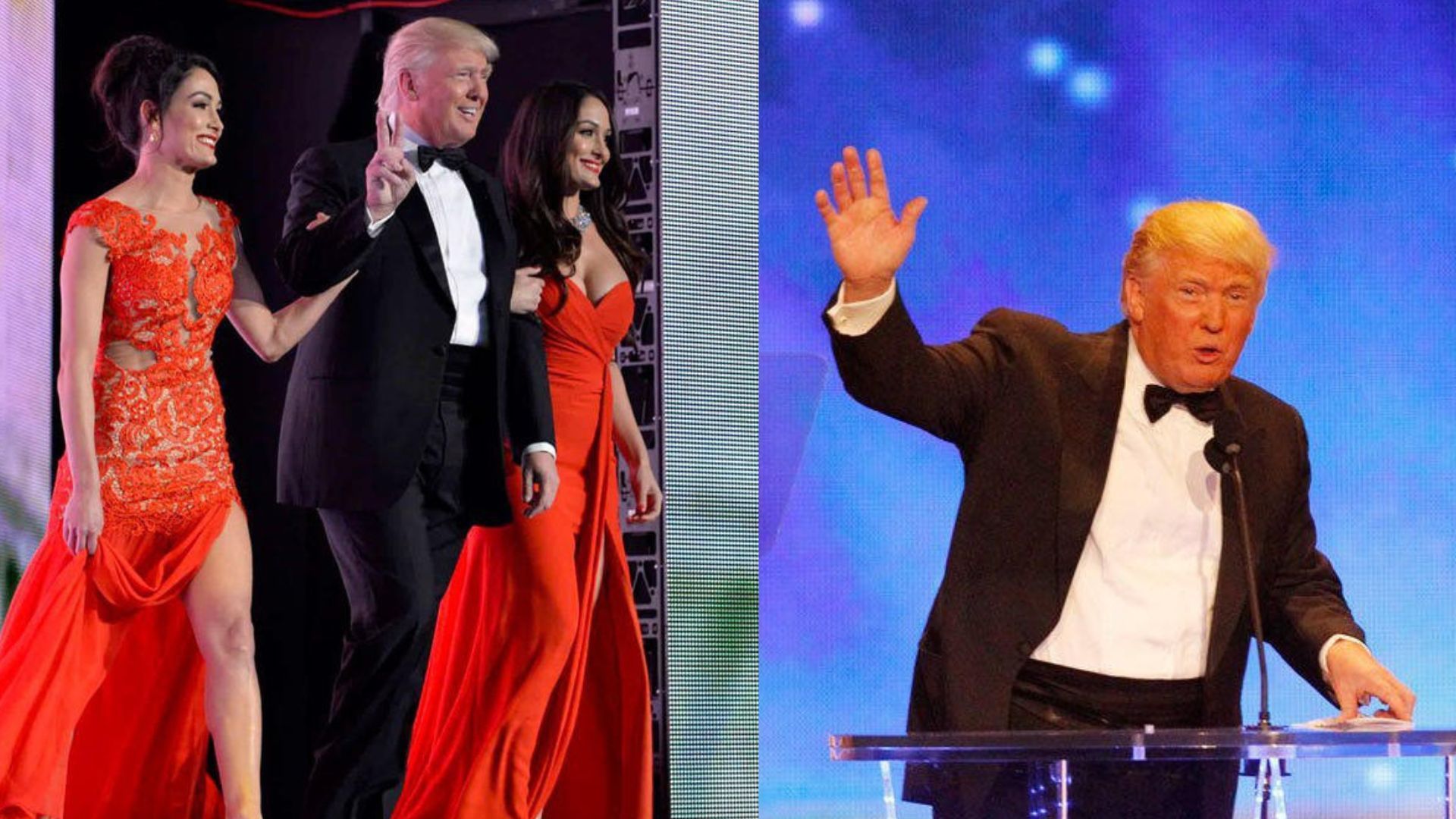 WWE Hall of Famer Donald Trump and The Bella twins