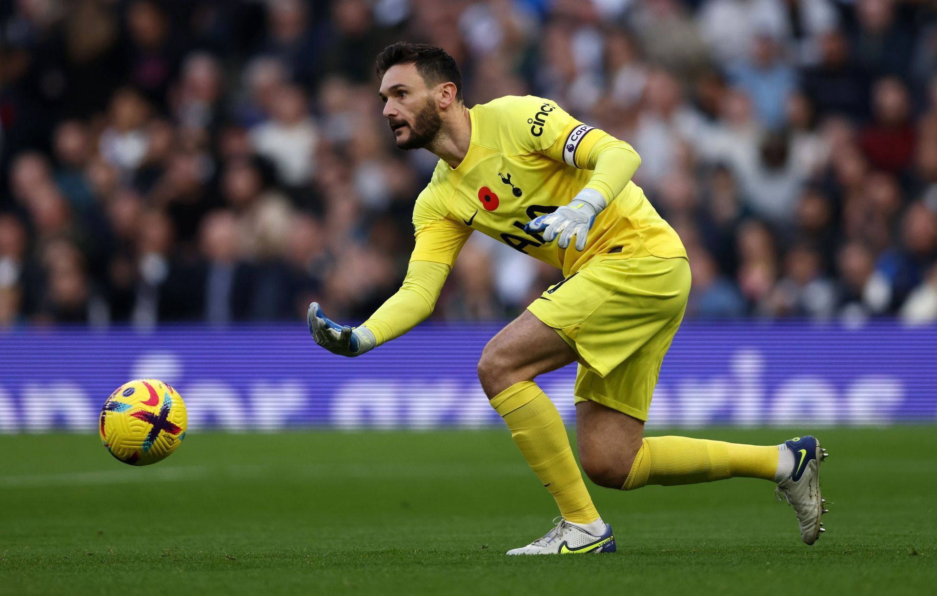 Tottenham Hotspur v Leeds United - Premier League