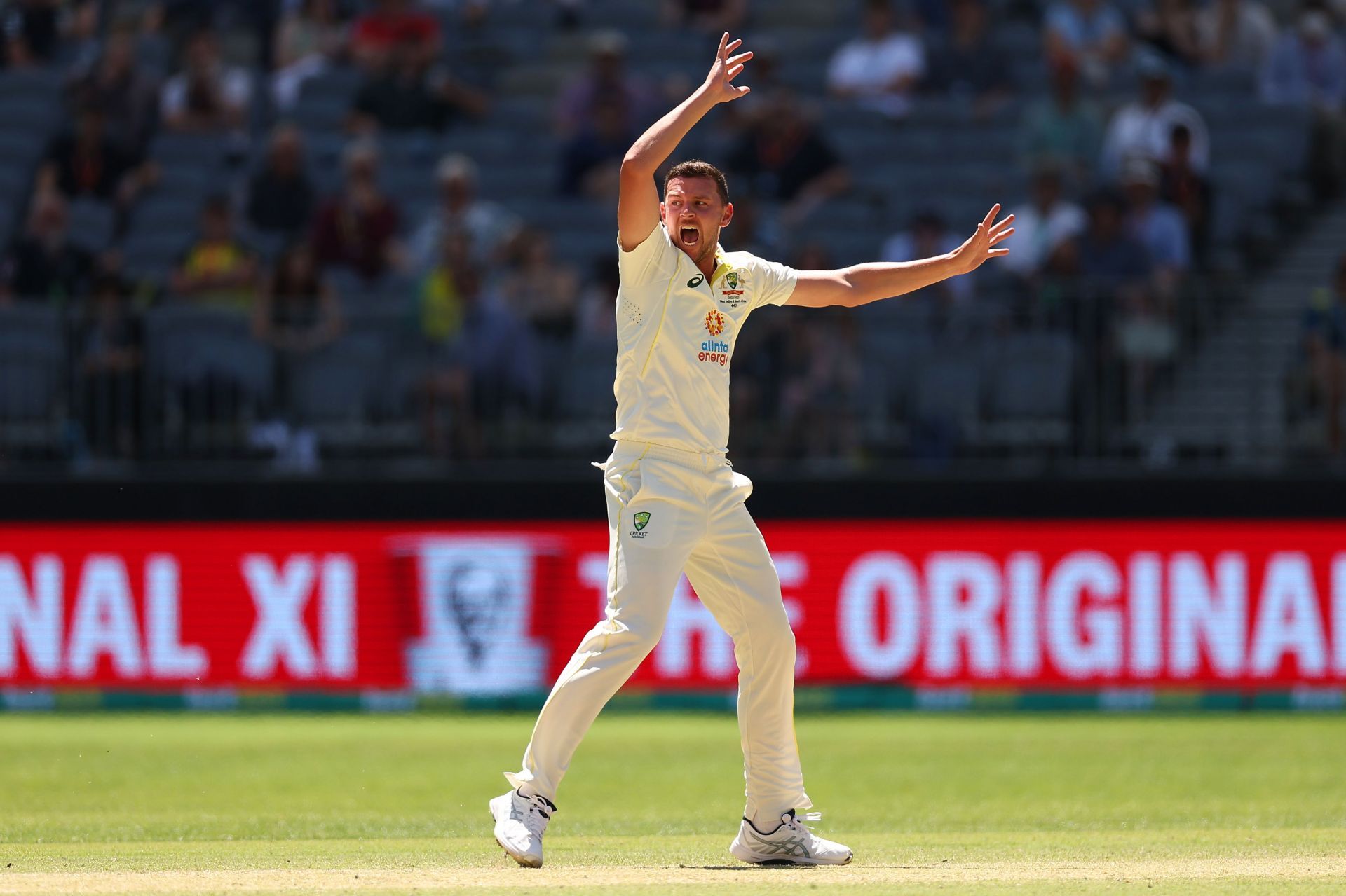 Josh Hazlewood. (Image Credits: Getty)