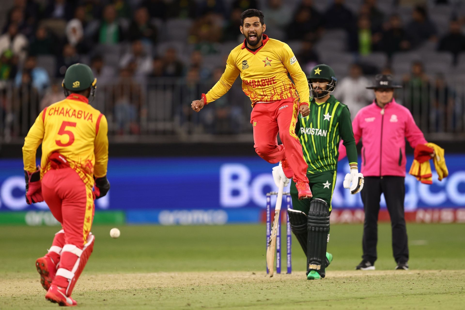 Sikandar Raza celebrates a wicket. (Credits: Getty)