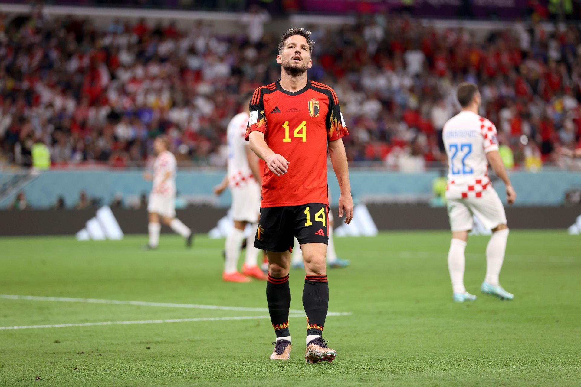 Croatia v Belgium: Group F - FIFA World Cup Qatar 2022