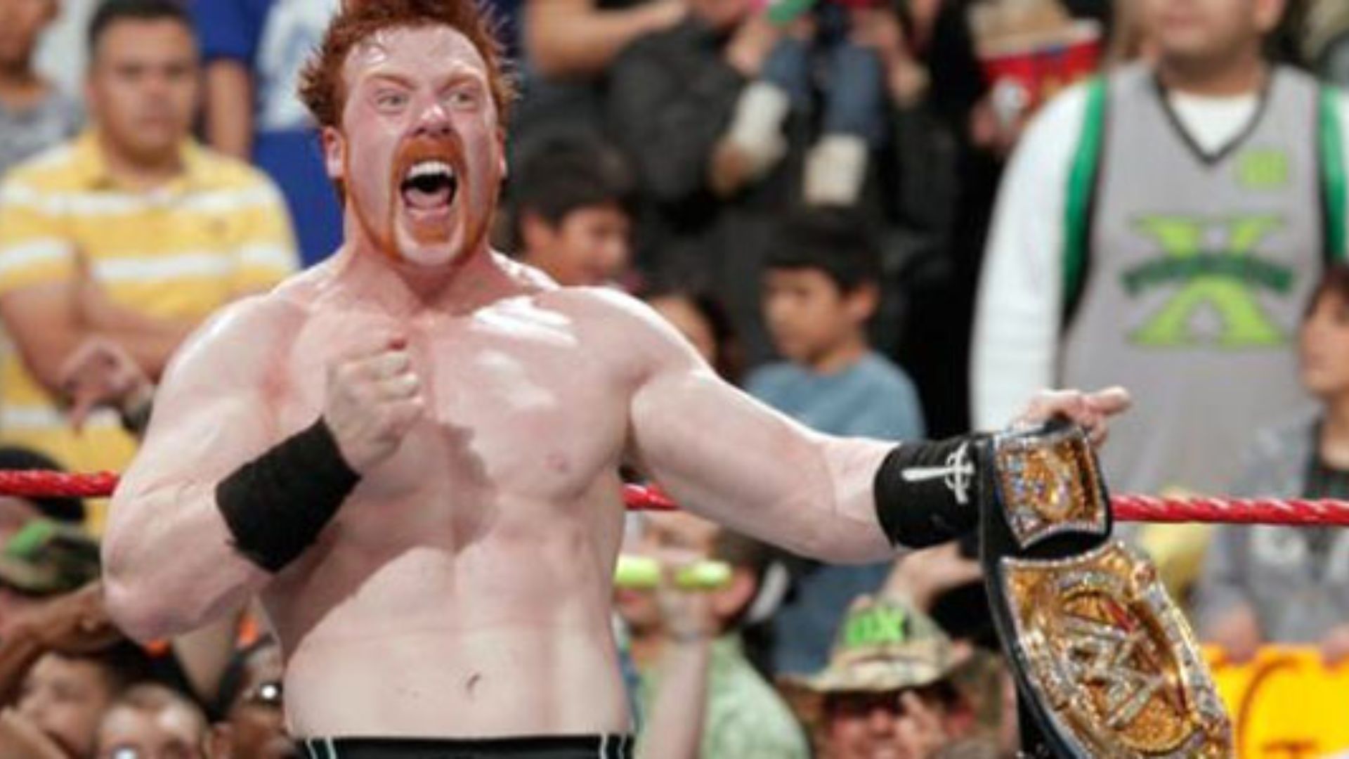 Sheamus won his first two WWE Championships between 2009-10