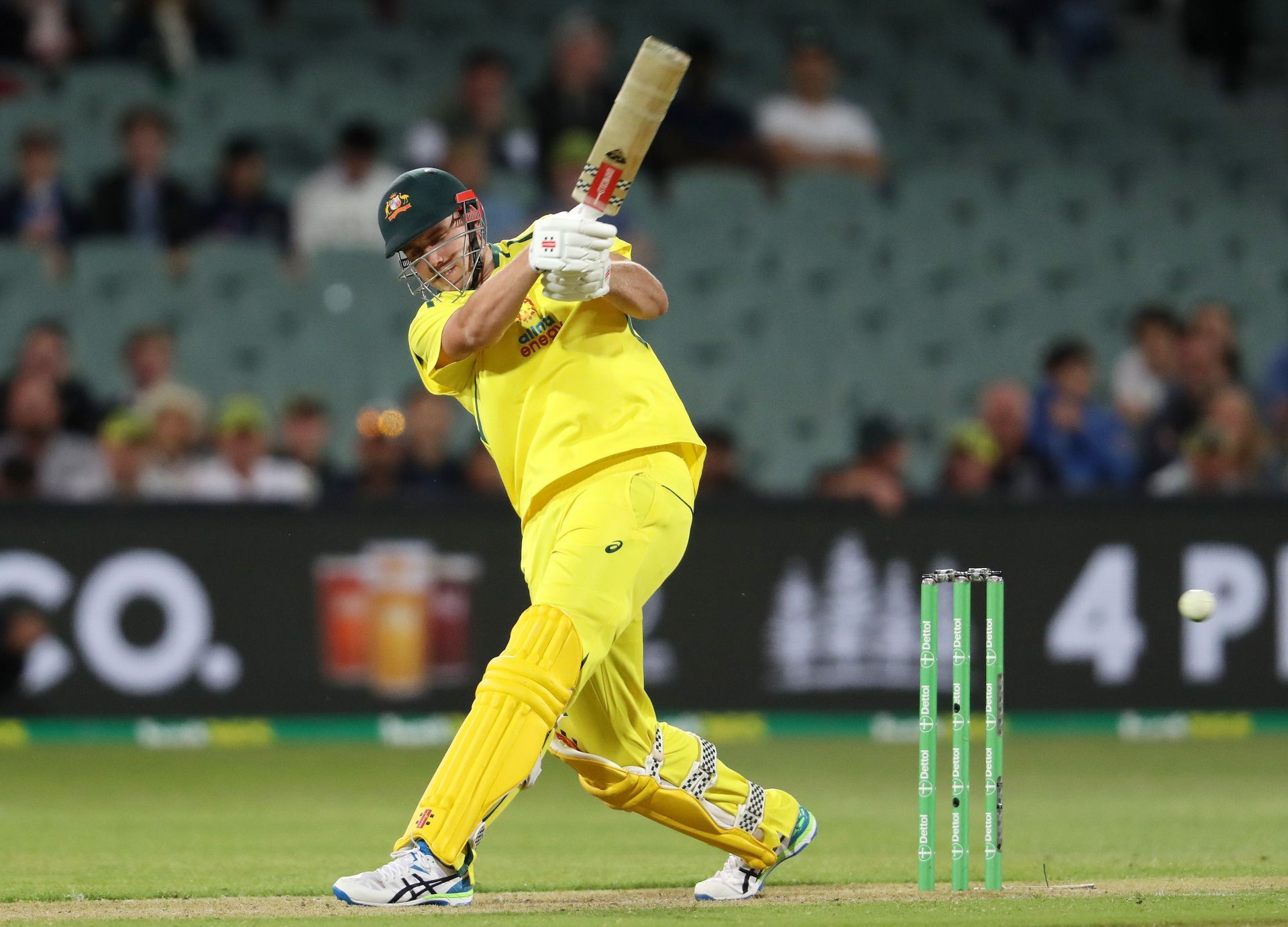 Camreon Green has an astounding strike-rate opening the batting for Australia in T20Is