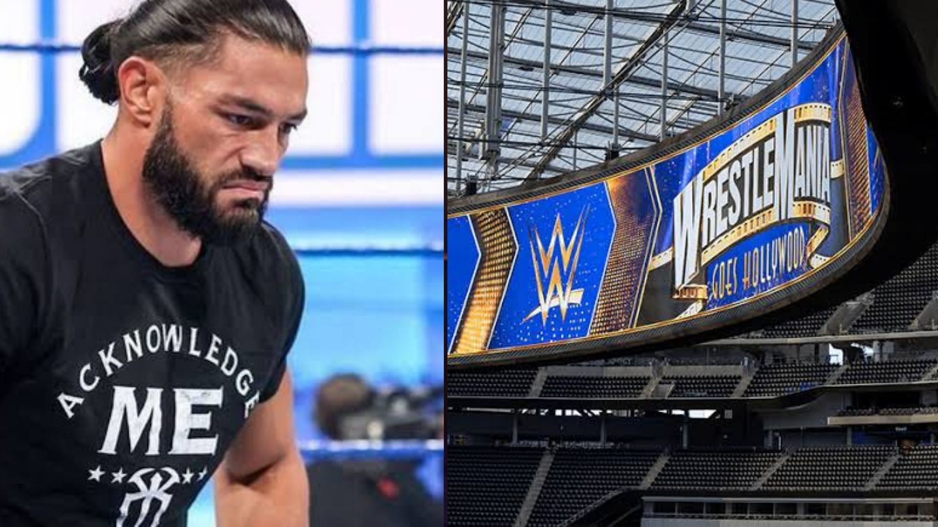 मौजूदा अनडिस्प्यूटेड WWE यूनिवर्सल चैंपियन रोमन रेंस 