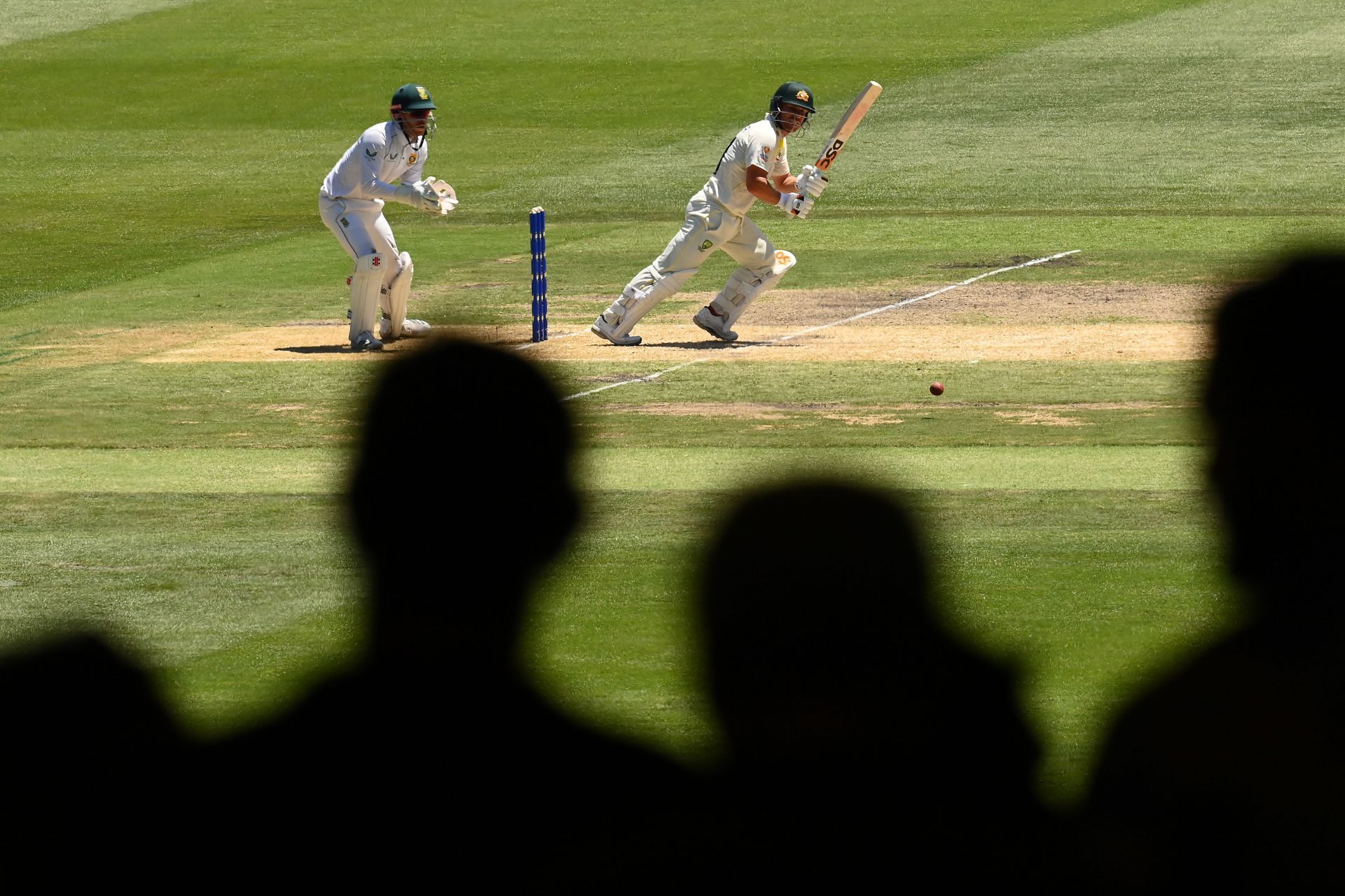 David Warner in action at the Melbourne Cricket Ground.