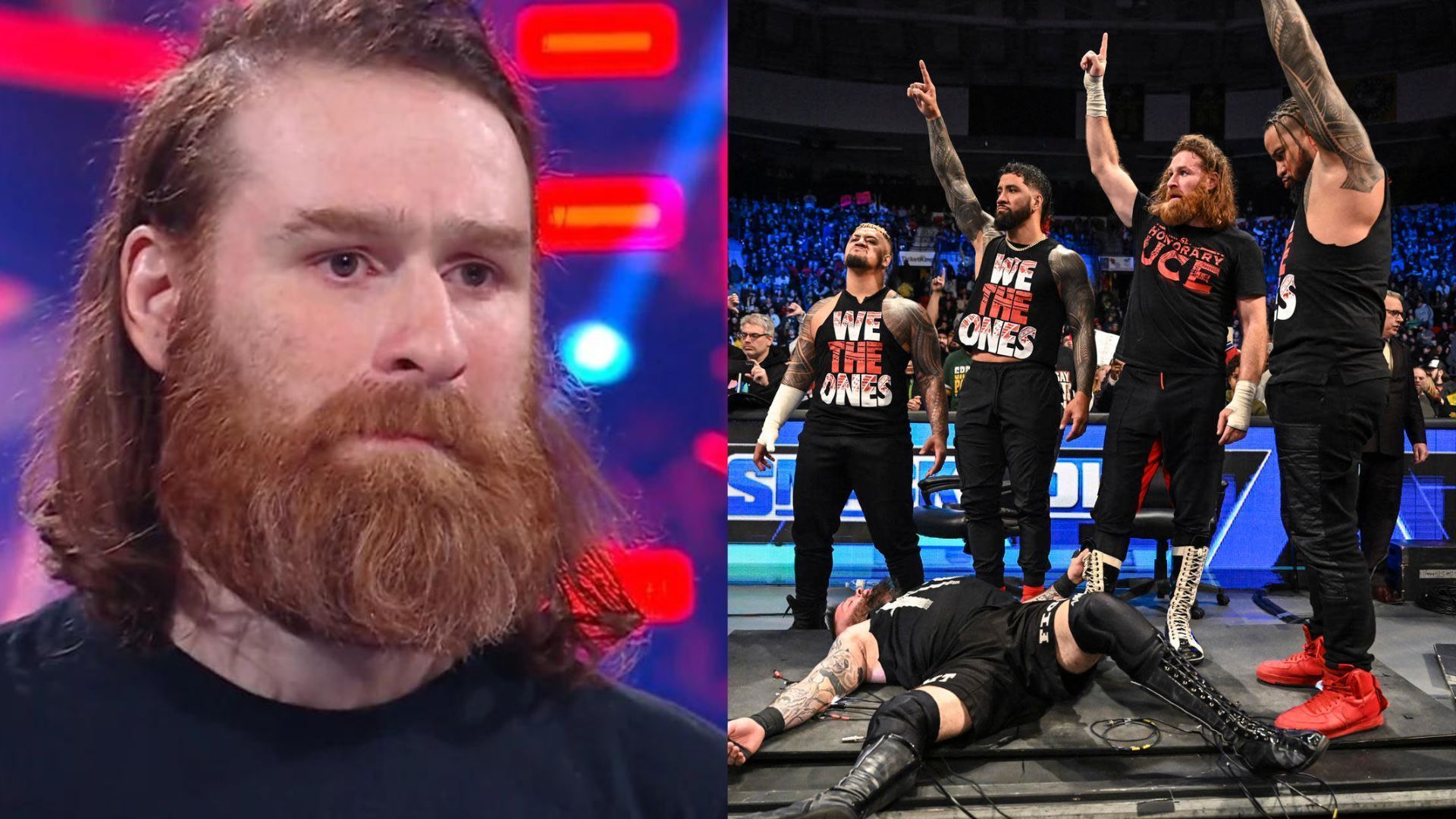 Sami Zayn was not part of the Royal Rumble Match