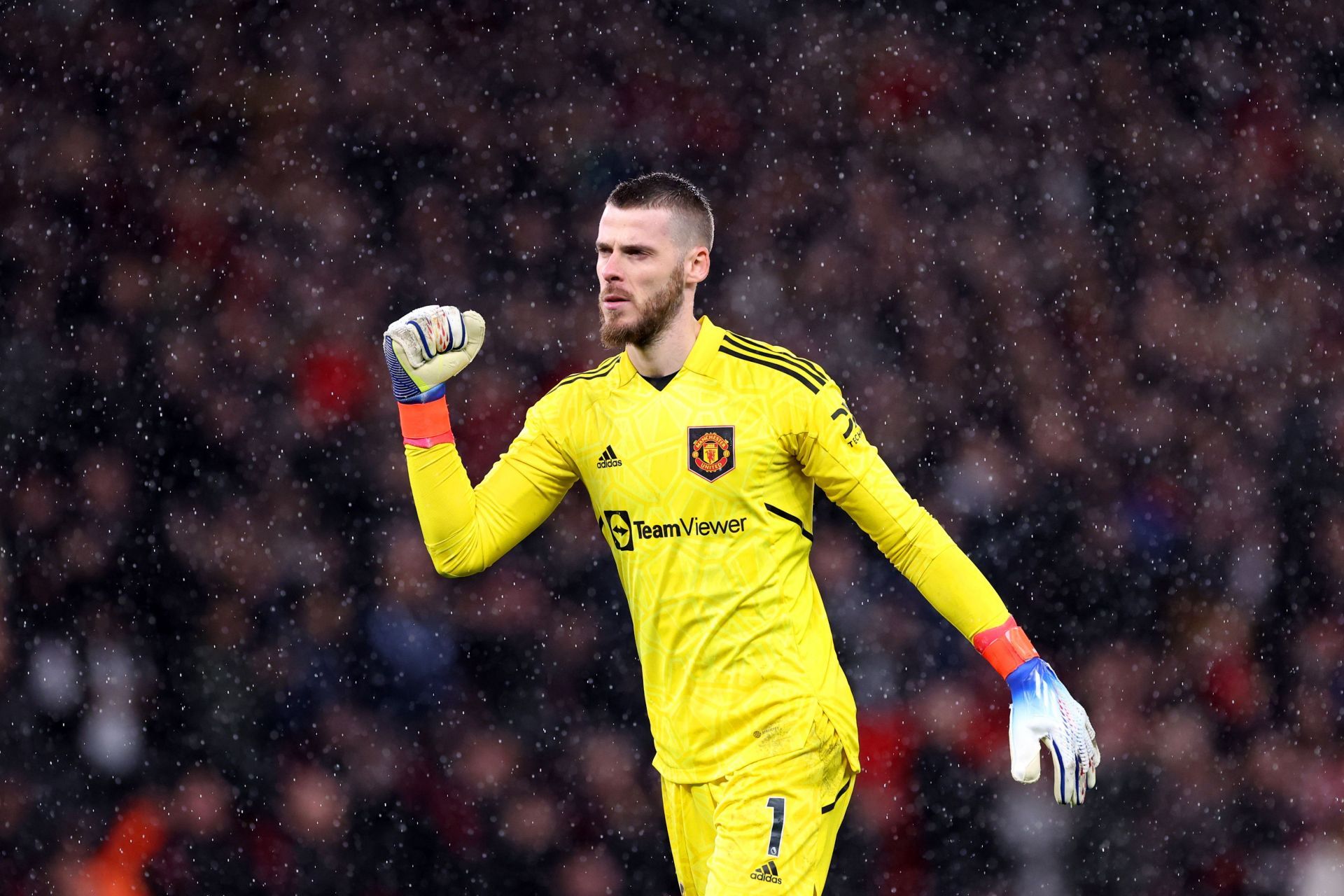 De Gea earned his clean sheet with an assured display in goal for United
