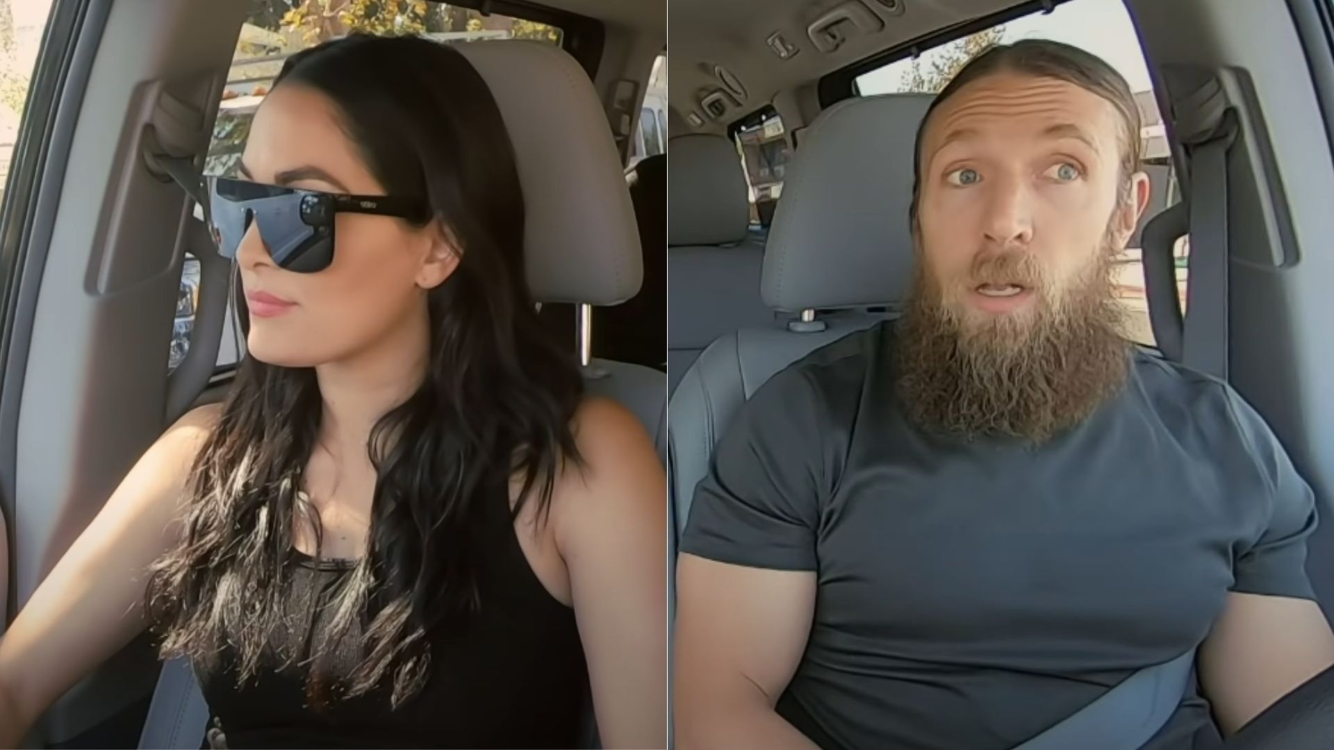 Brie Bella (left); Daniel Bryan (right)