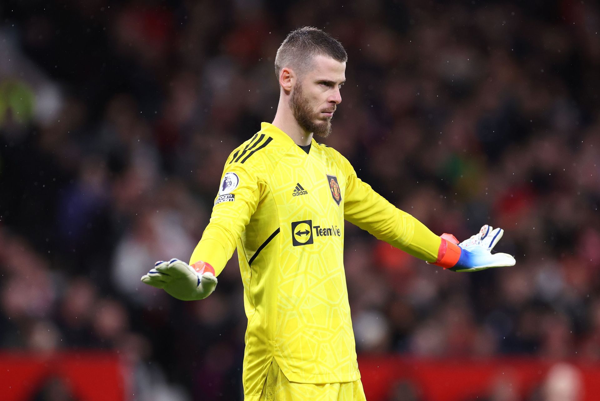 David De Gea vs AFC Bournemouth - Premier League