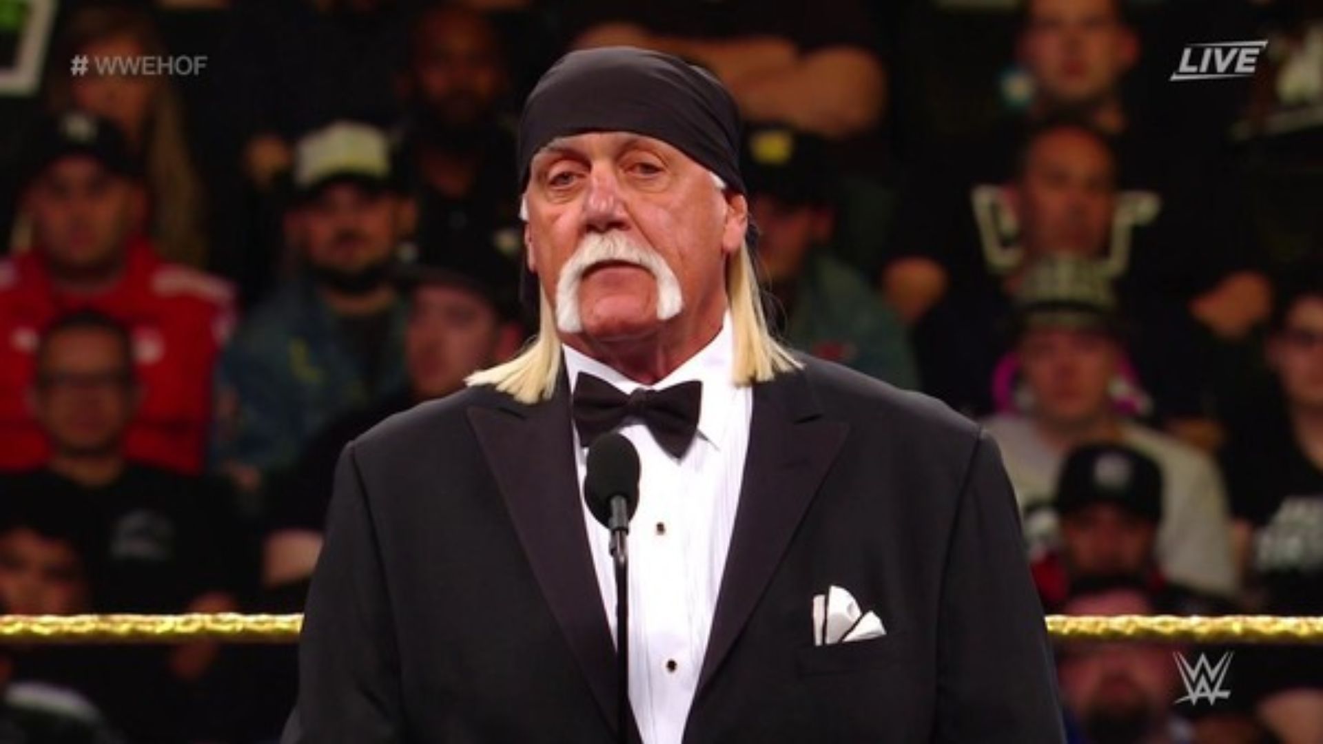 Six-time WCW World Heavyweight Champion Hulk Hogan