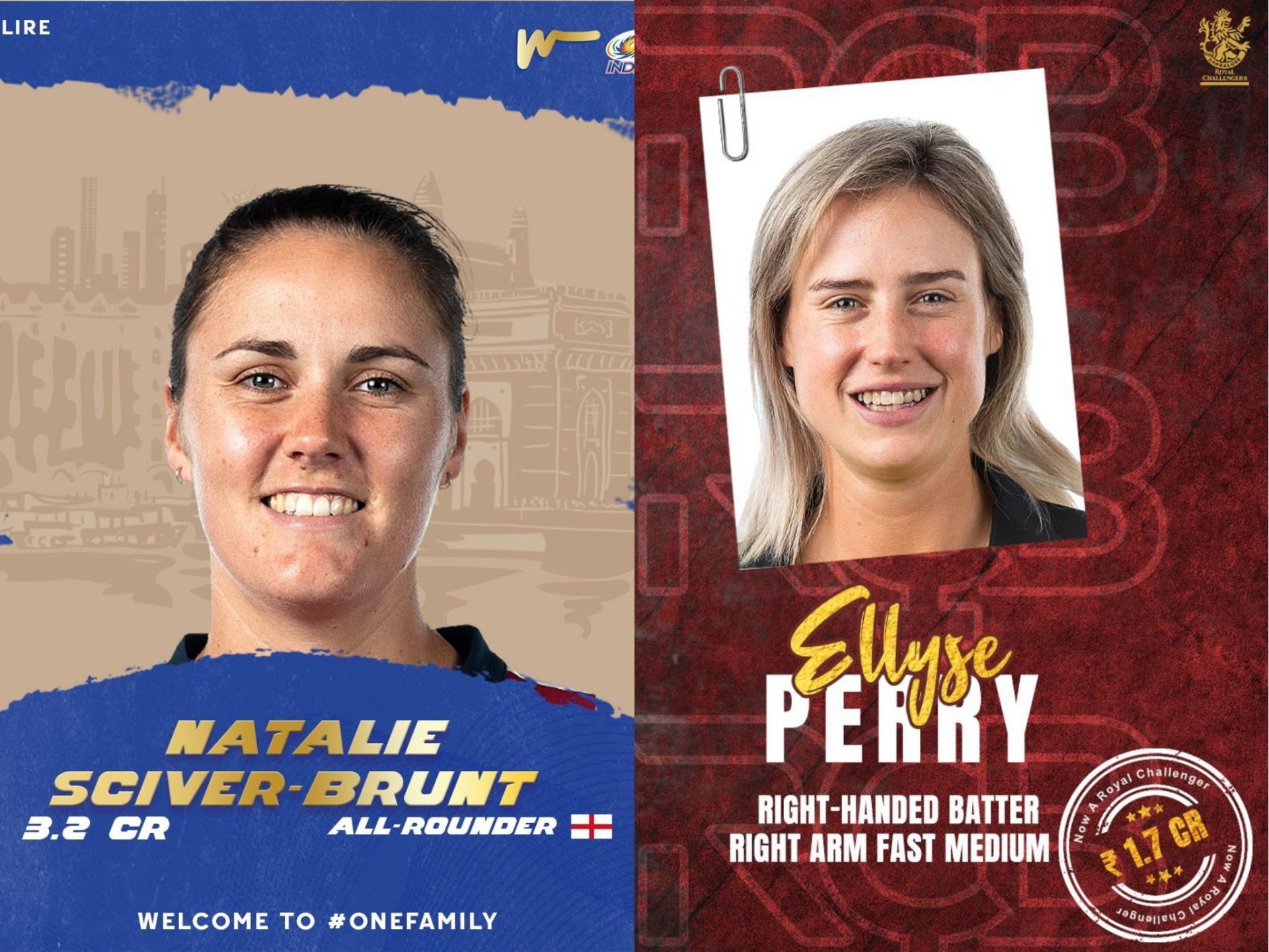 Nat Sciver-Brunt and Ellyse Perry bagged hefty fees at the Women