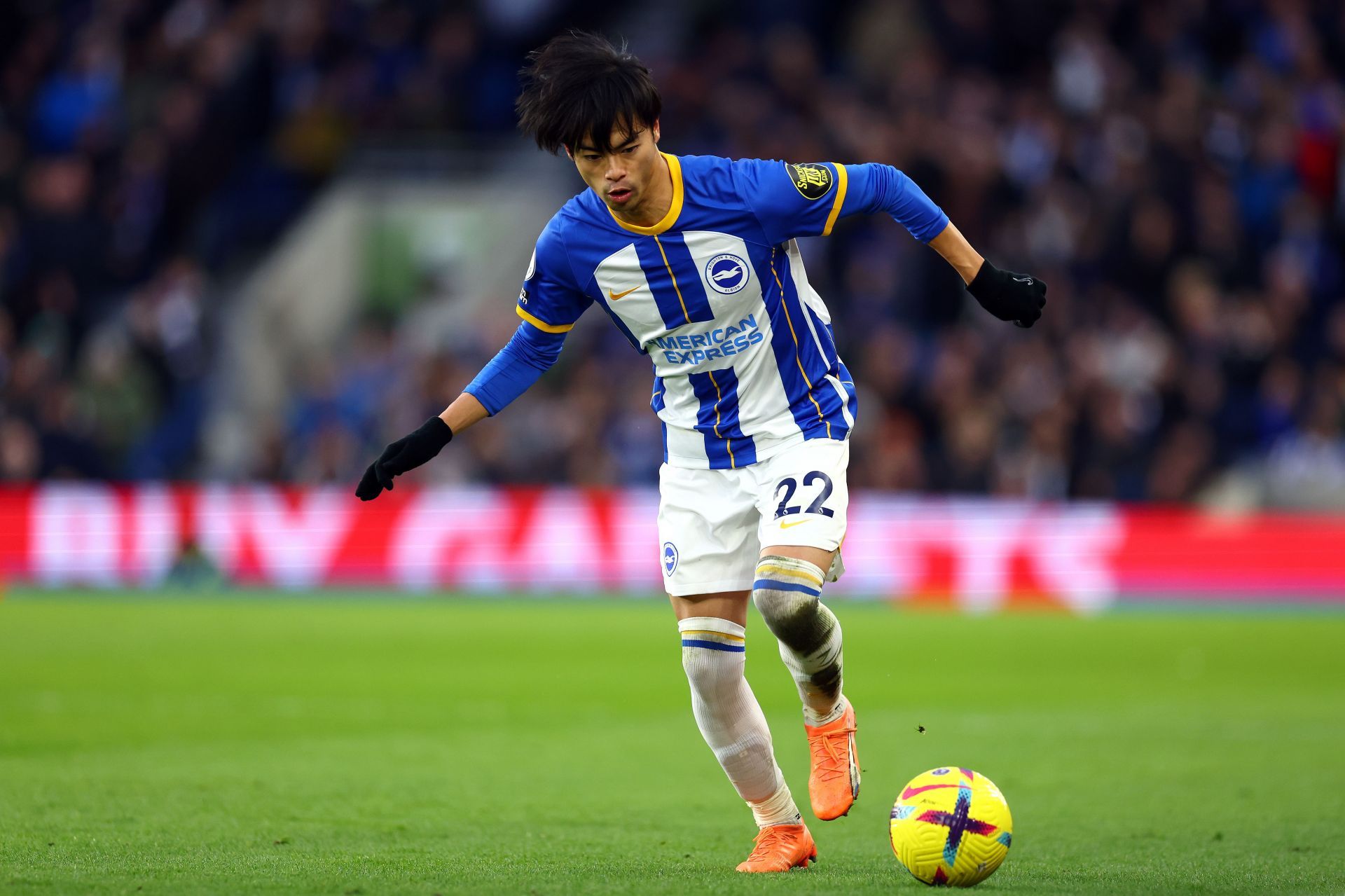 Kaoru Mitoma has gone from strength to strength at the Amex this season.
