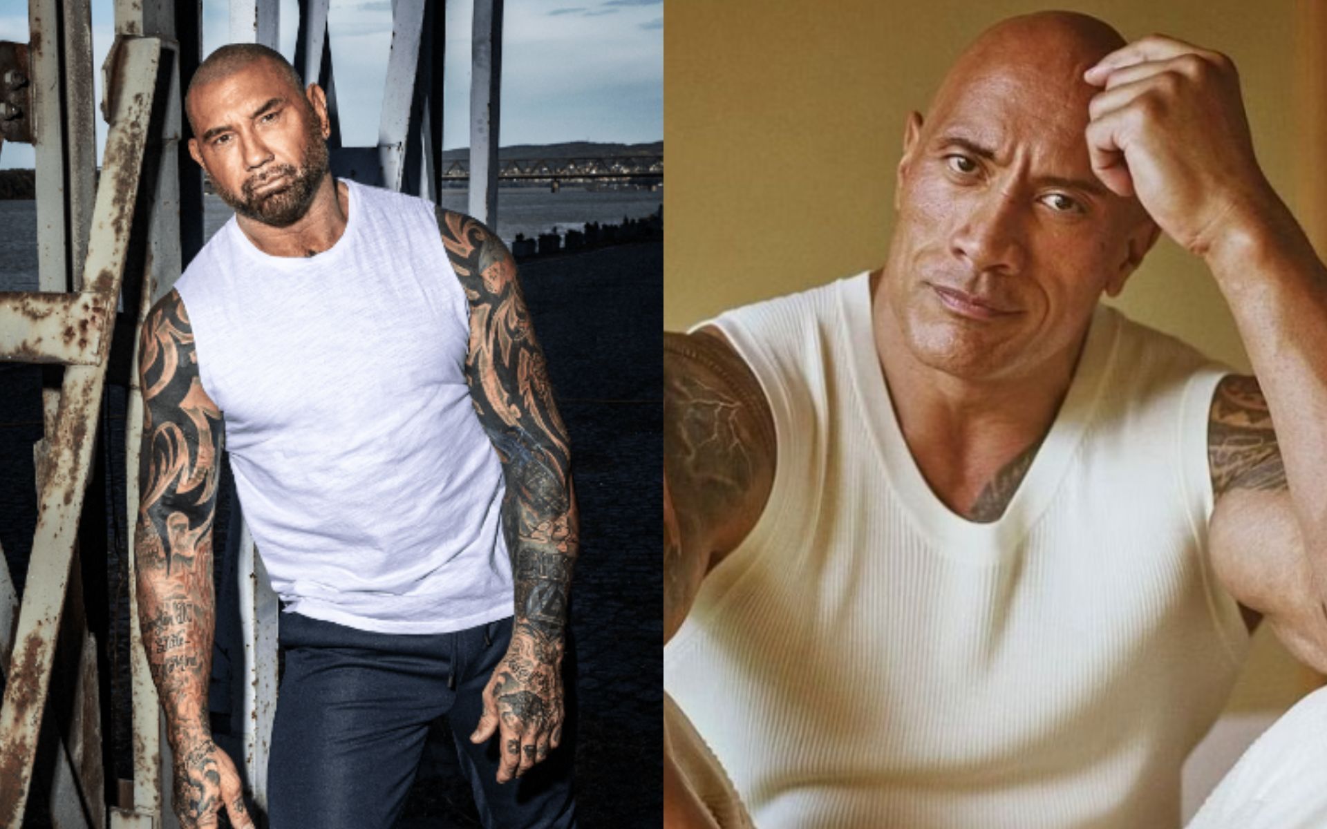 Dave Bautista and Dwayne Johnson have majorly contributed to WWE 