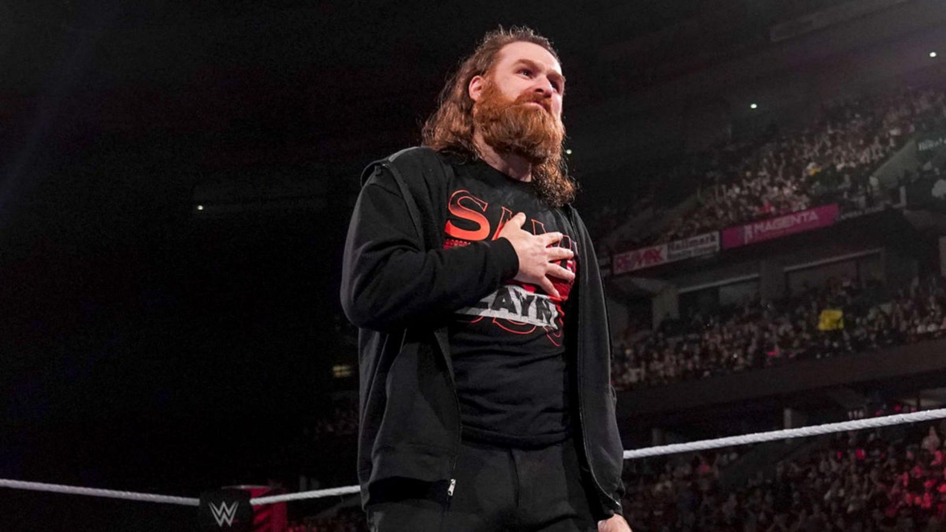 Sami Zayn lost to Roman Reigns at WWE Elimination Chamber in Montreal