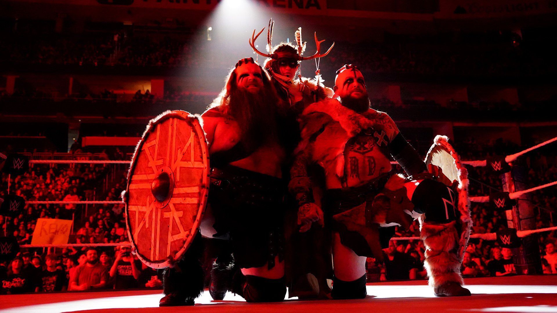 The Viking Raiders