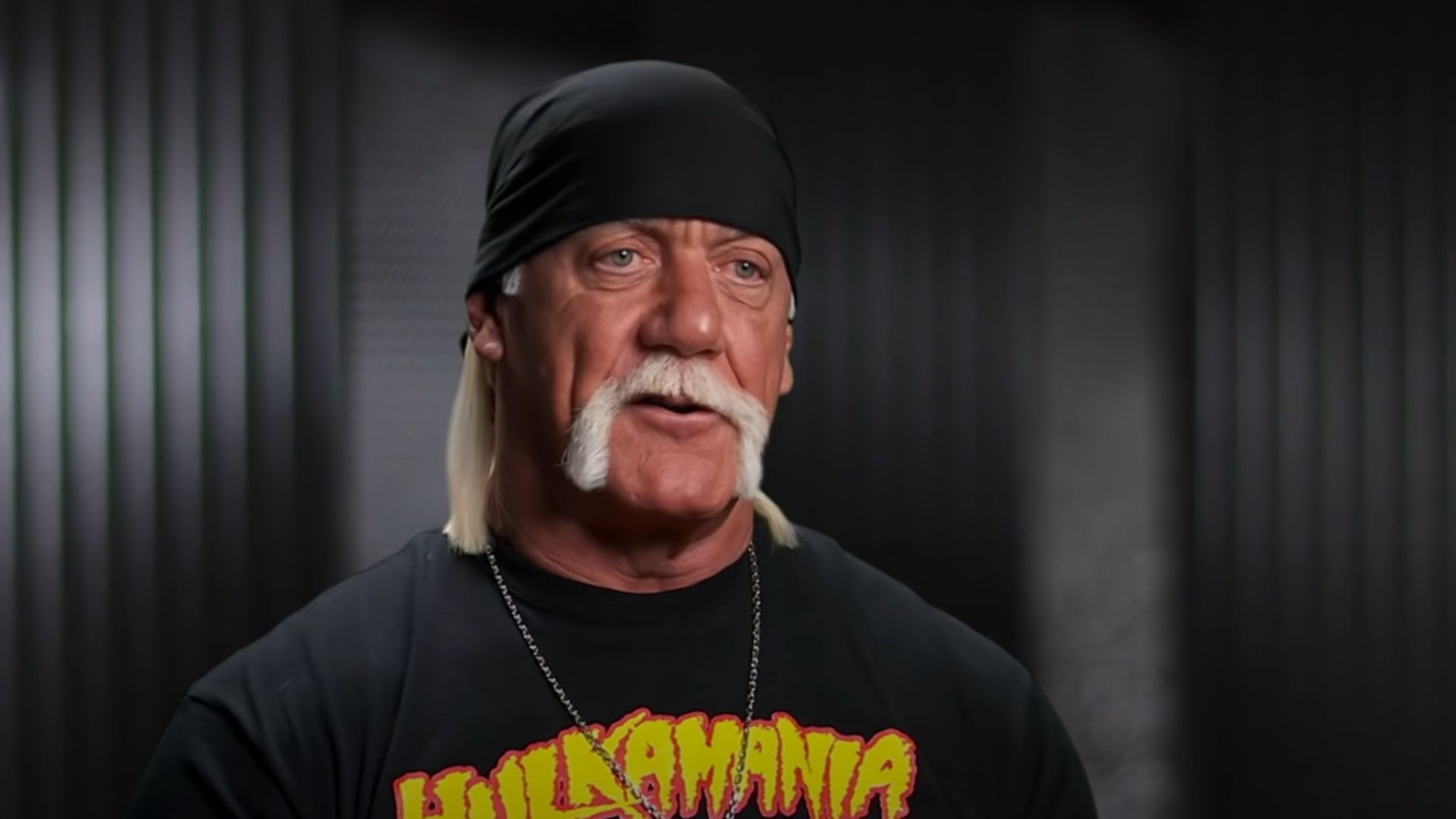 Former WWE and WCW star Hulk Hogan