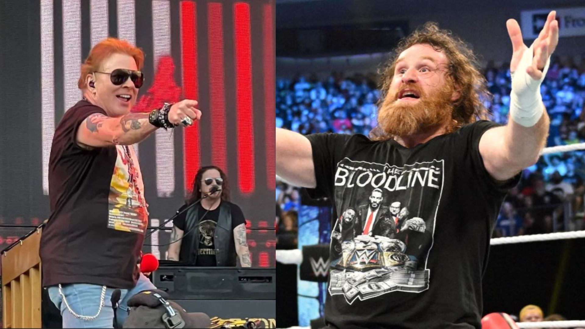 WWE star Sami Zayn had a fan meltdown after meeting Axl Rose