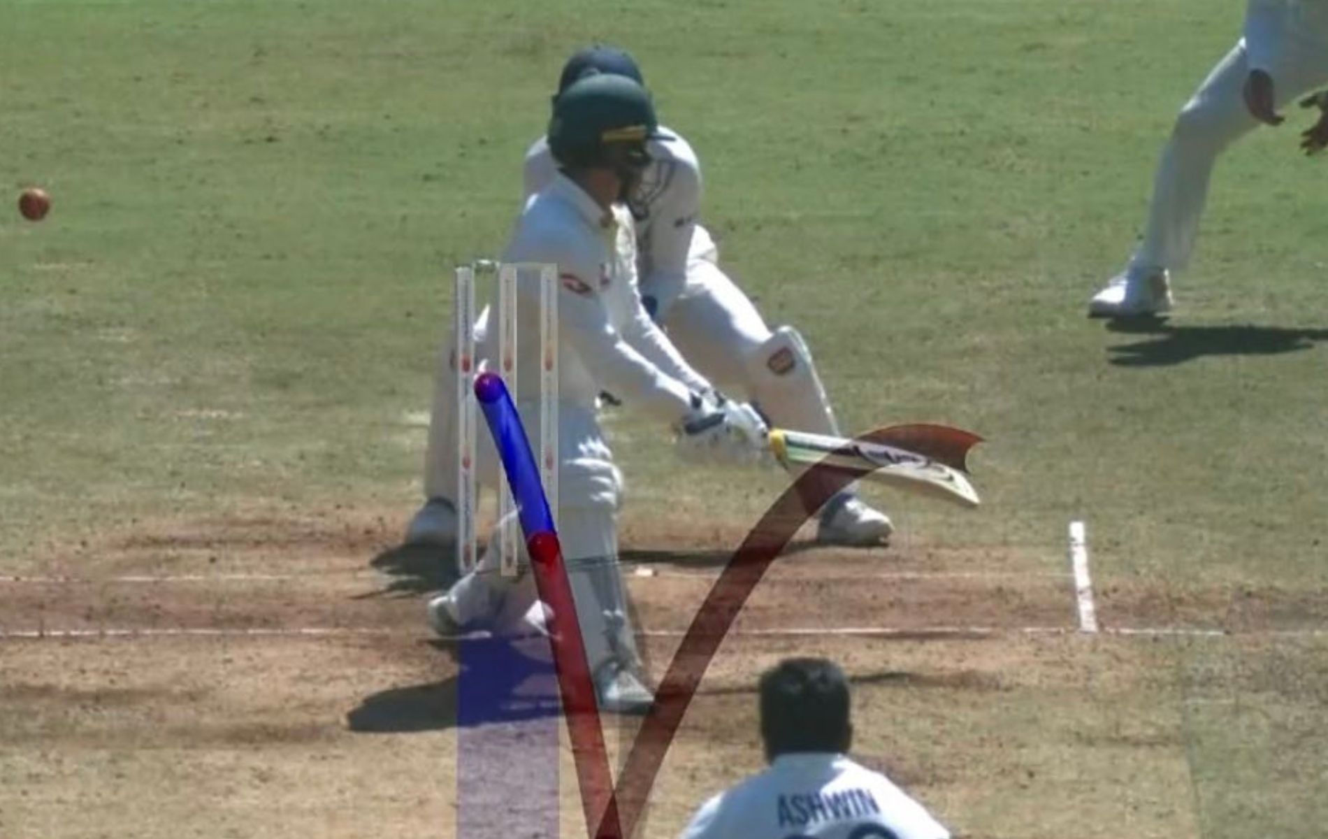 Alex Carey was dismissed by Ravichandran Ashwin twice in 1st Test. (Pic: Disney+Hotstar)