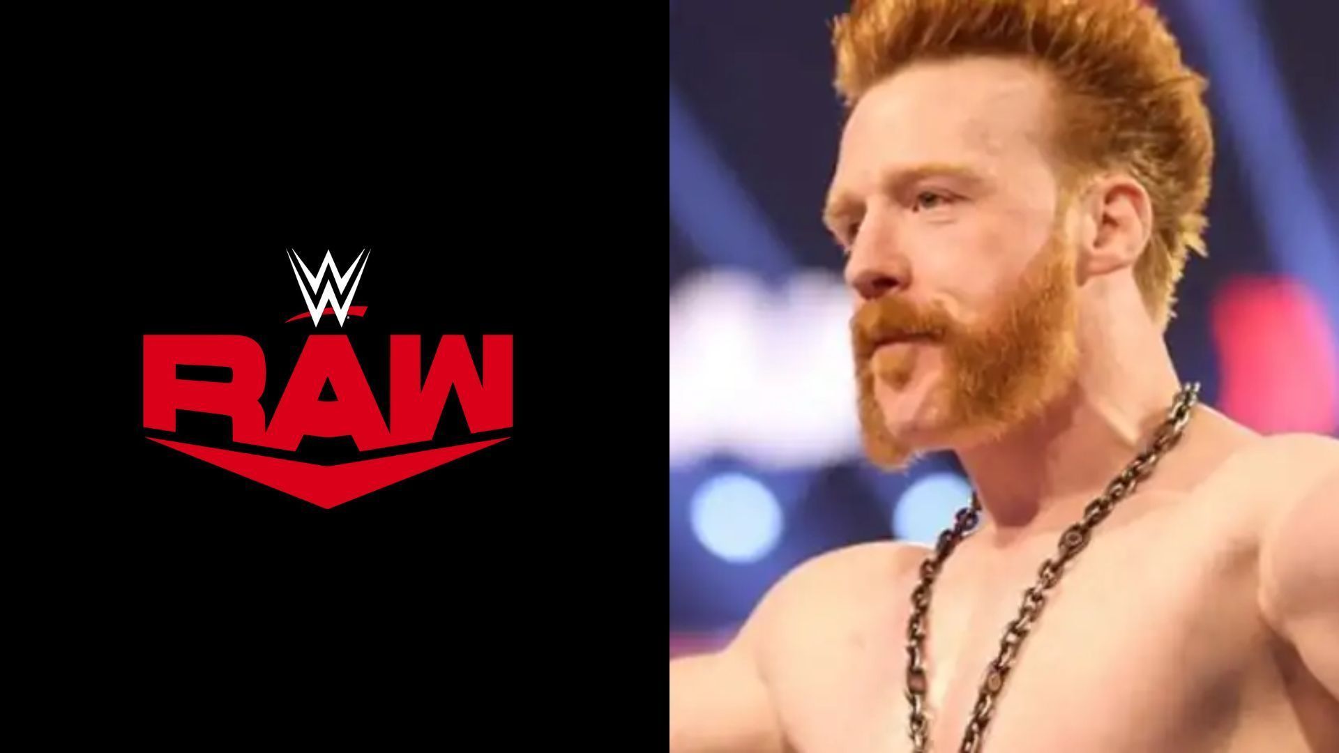 WWE SmackDown Superstar Sheamus