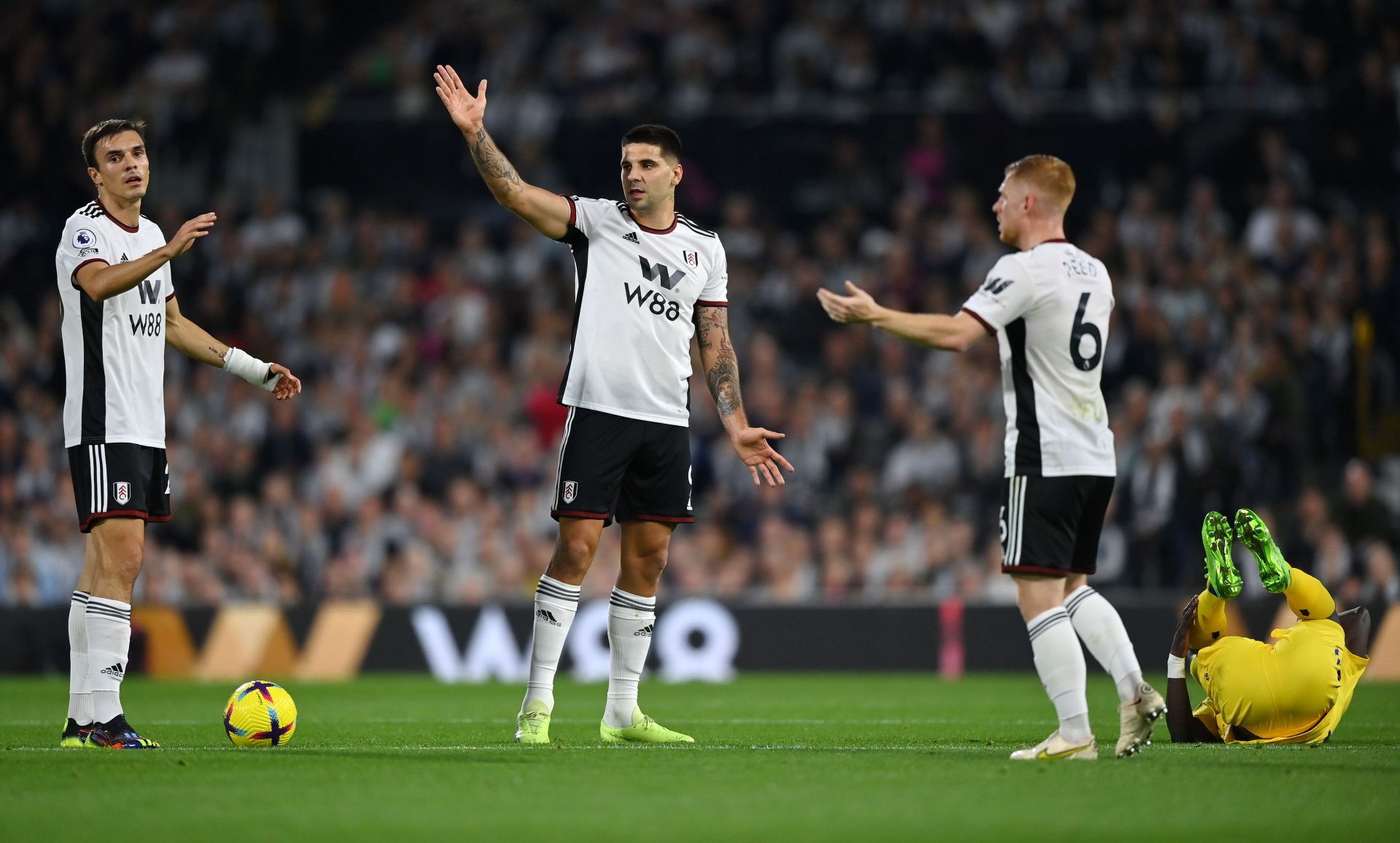 Fulham FC v Everton FC - Premier League