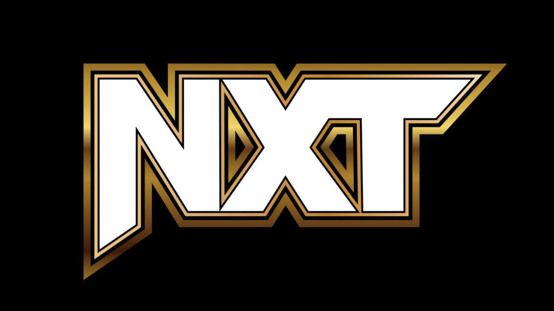 Vengeance Day was the last WWE NXT Premium Live Event!