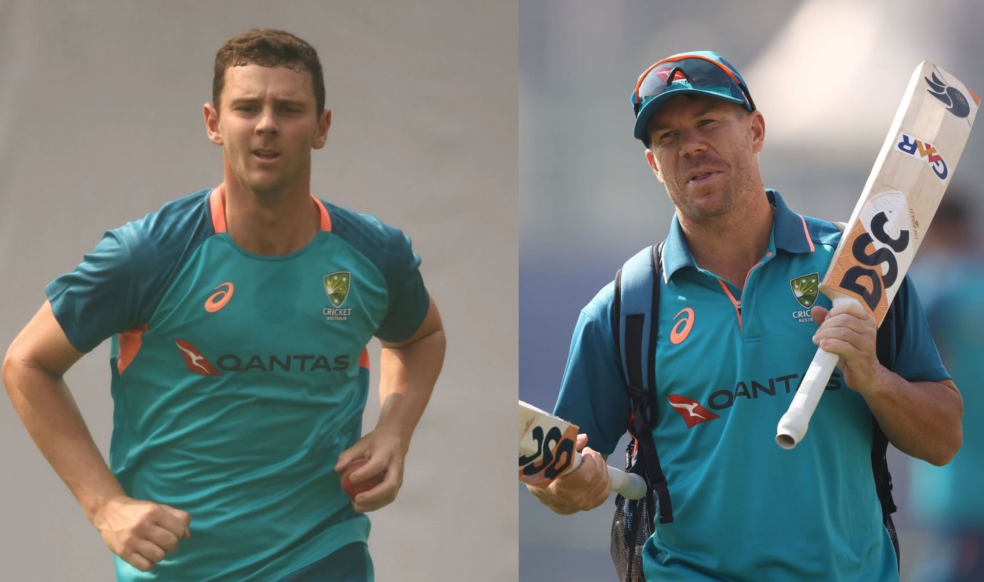 Josh Hazlewood, David Warner