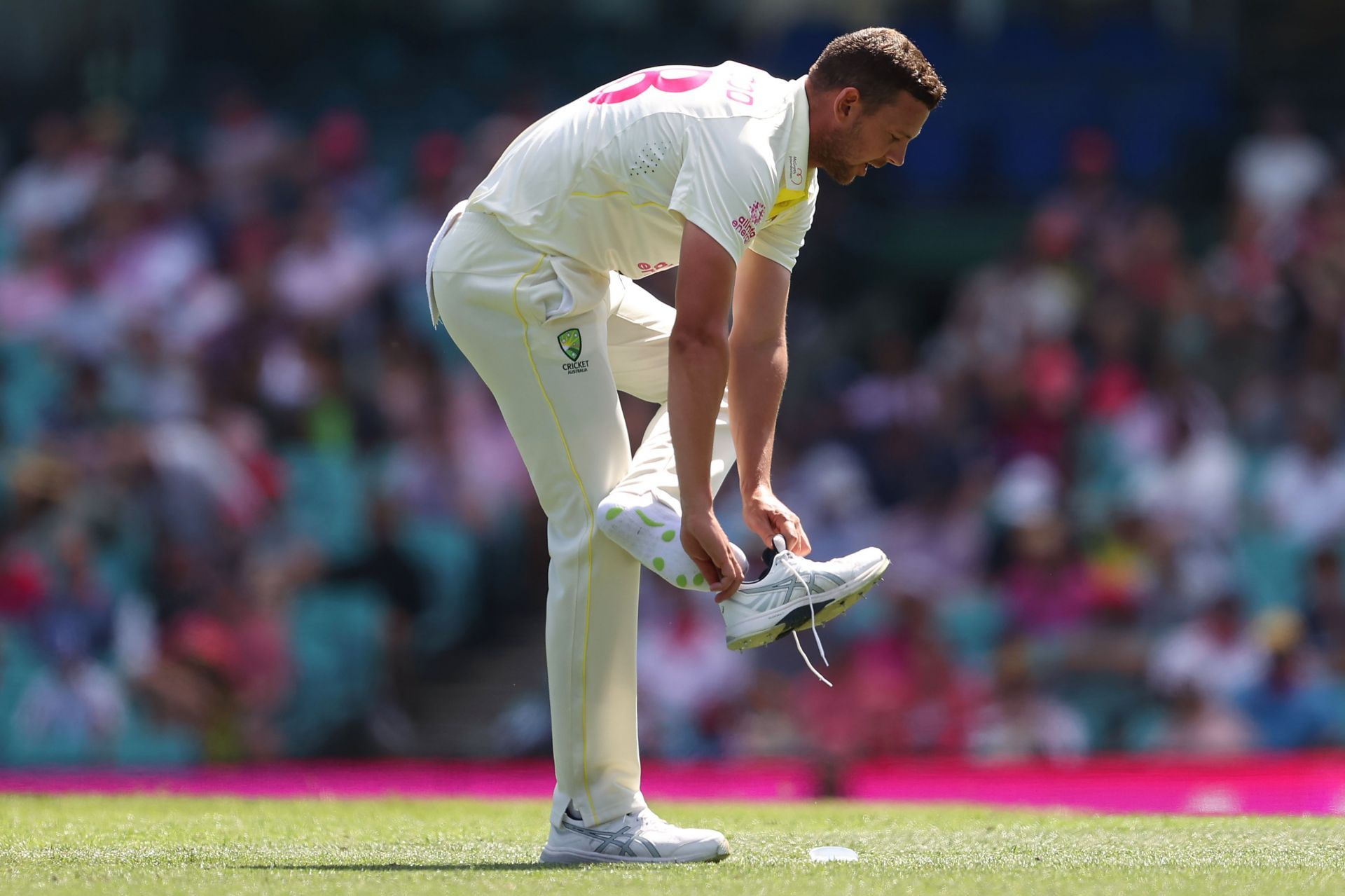 Australia v South Africa - Third Test: Day 5