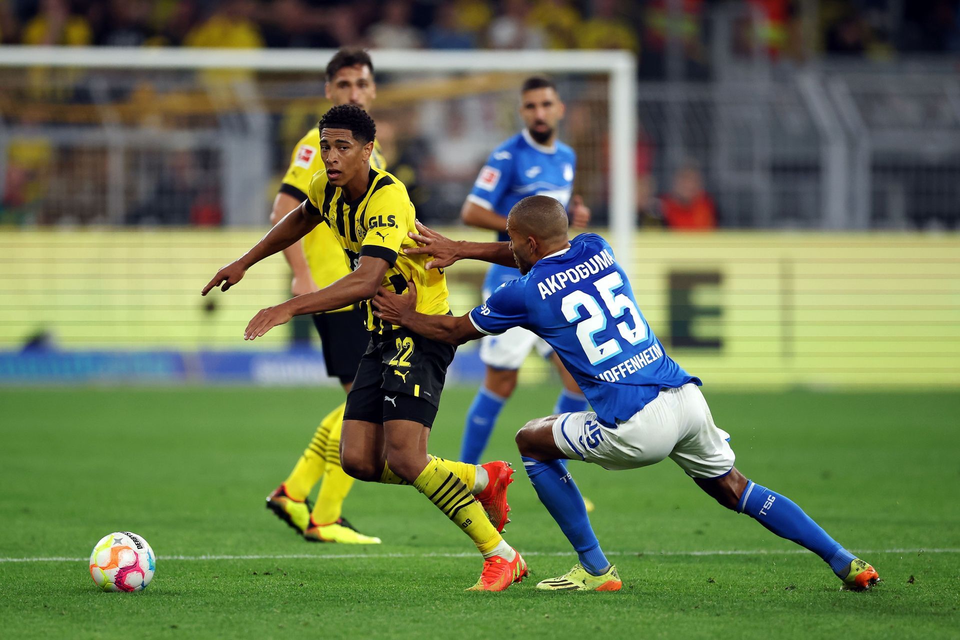 Borussia Dortmund v TSG Hoffenheim - Bundesliga