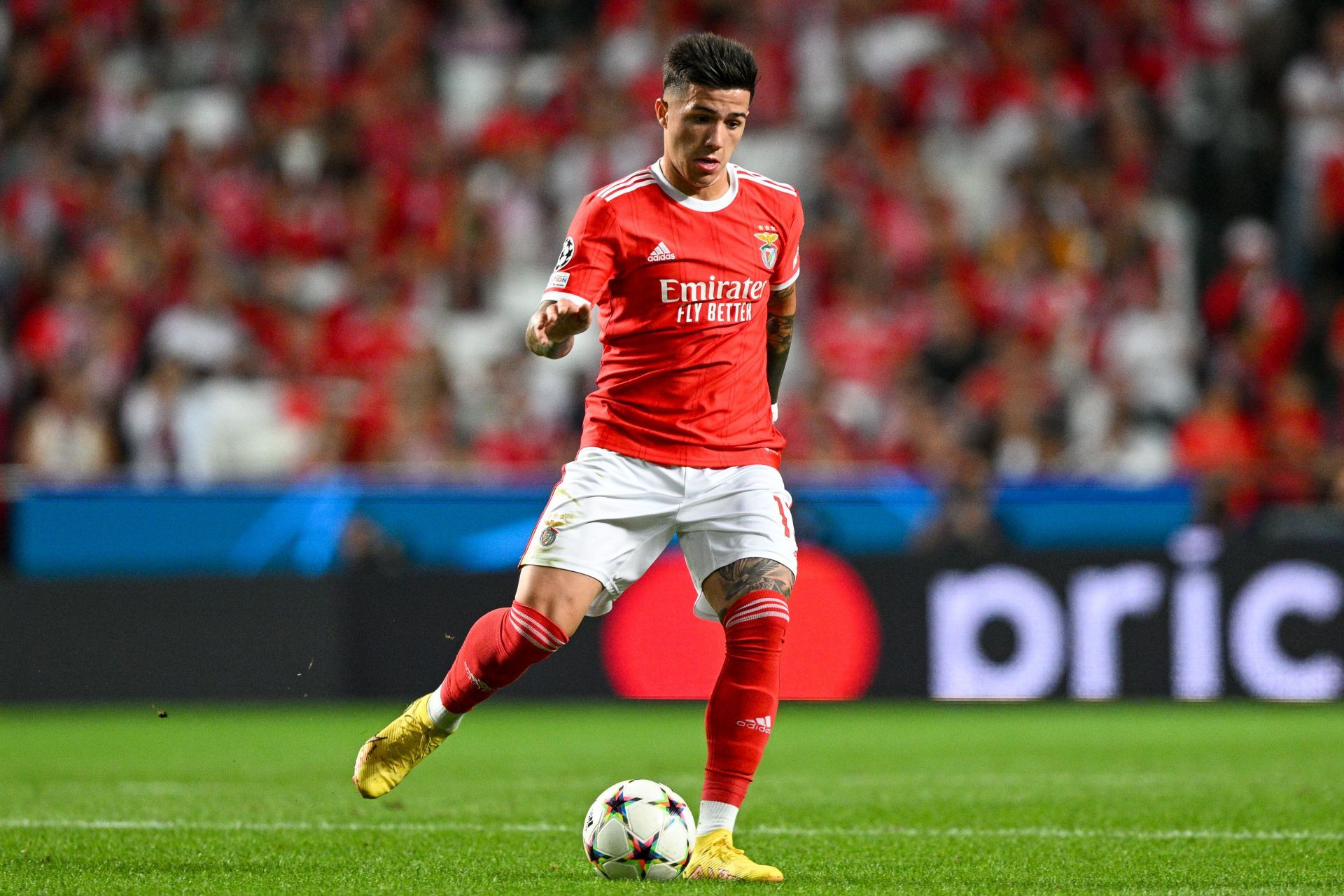 SL Benfica v Paris Saint-Germain: Group H - UEFA Champions League