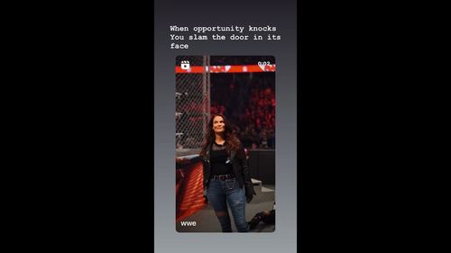 A screengrab of the WWE Hall of Famer's Instagram story