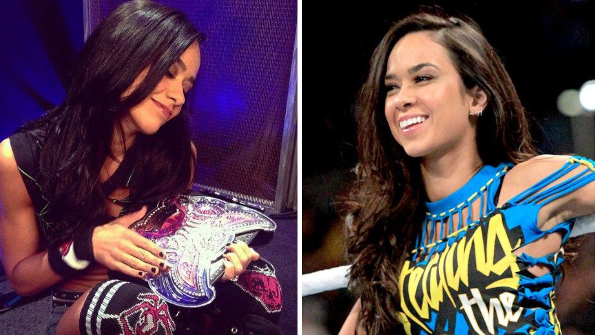 AJ Lee is a former WWE Superstar.