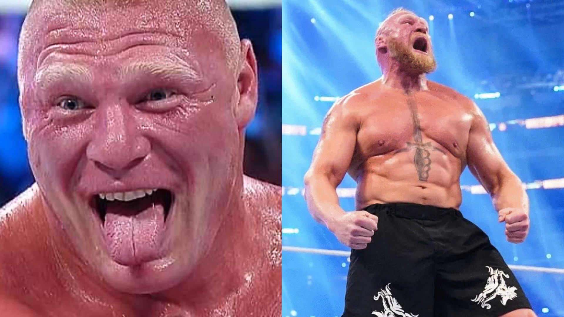 Brock Lesnar is a 7-time WWE Champion