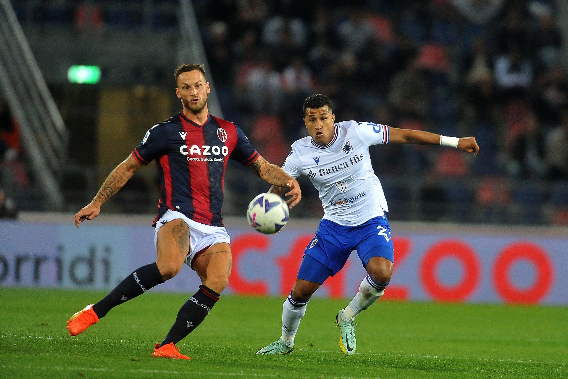 Bologna FC v UC Sampdoria - Serie A