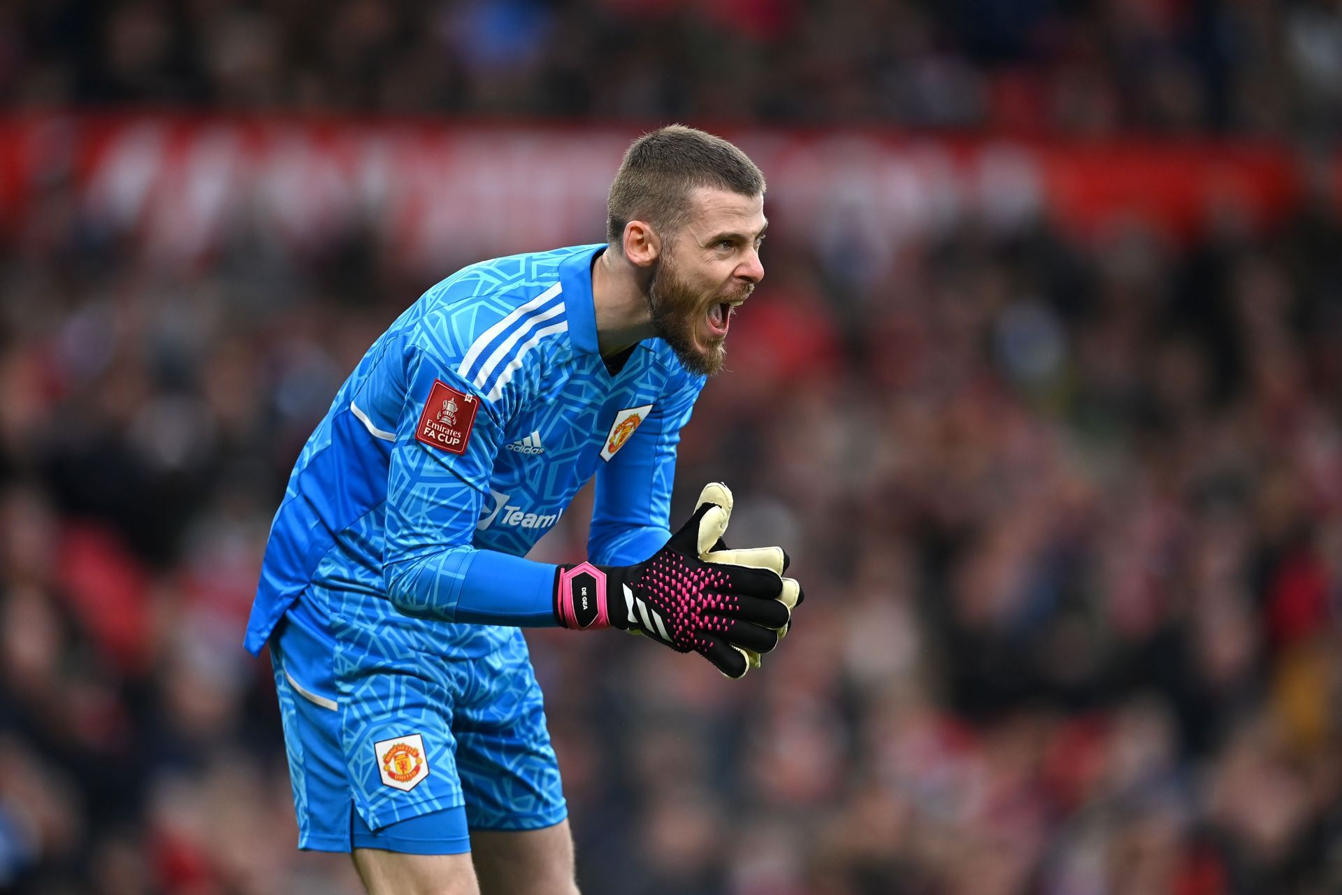 David de Gea has struggled to adapt to the requirements of the modern game.