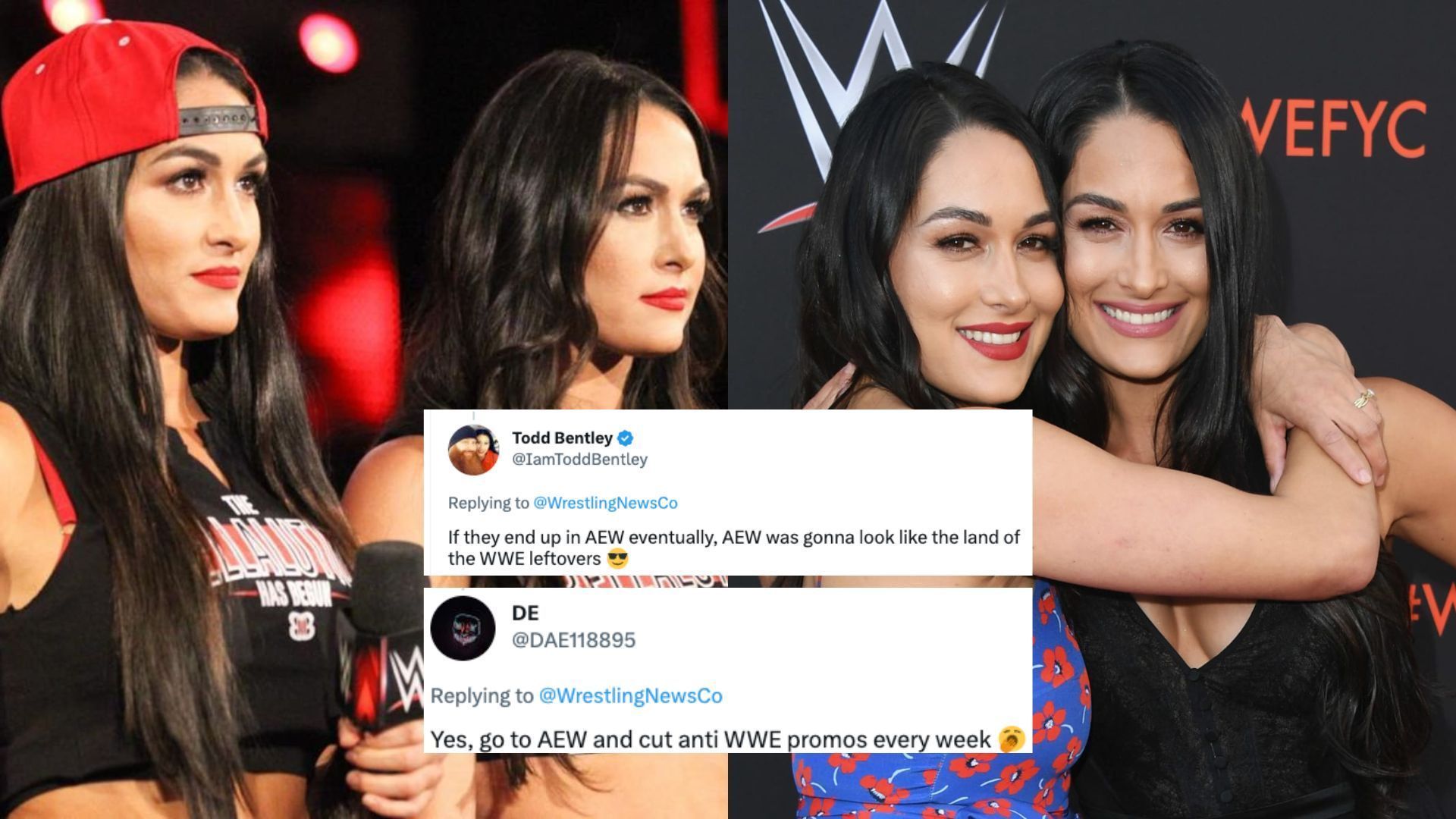 The Bella Twins have recently changed their name on social media.