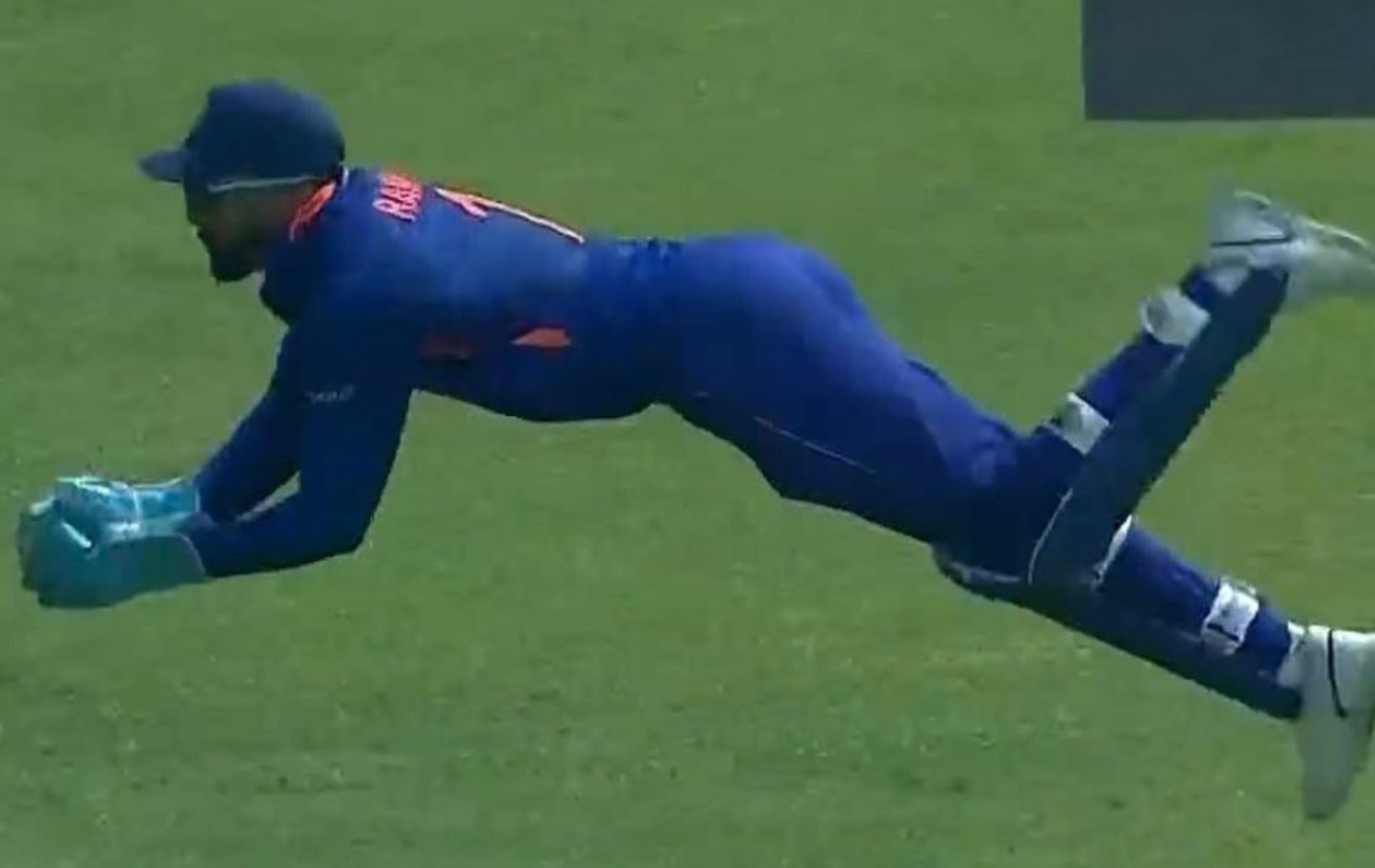 KL Rahul dived to his right to complete the catch. (Pic: BCCI)