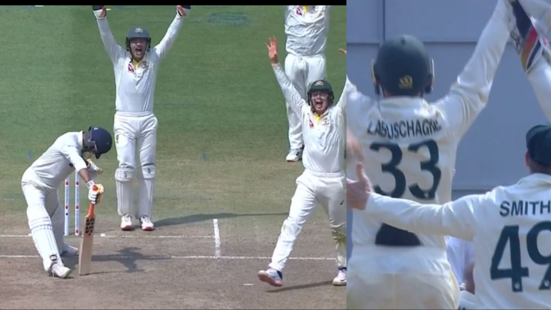 Australian cricketers were quite confident about the LBW appeal (Image: BCCI)