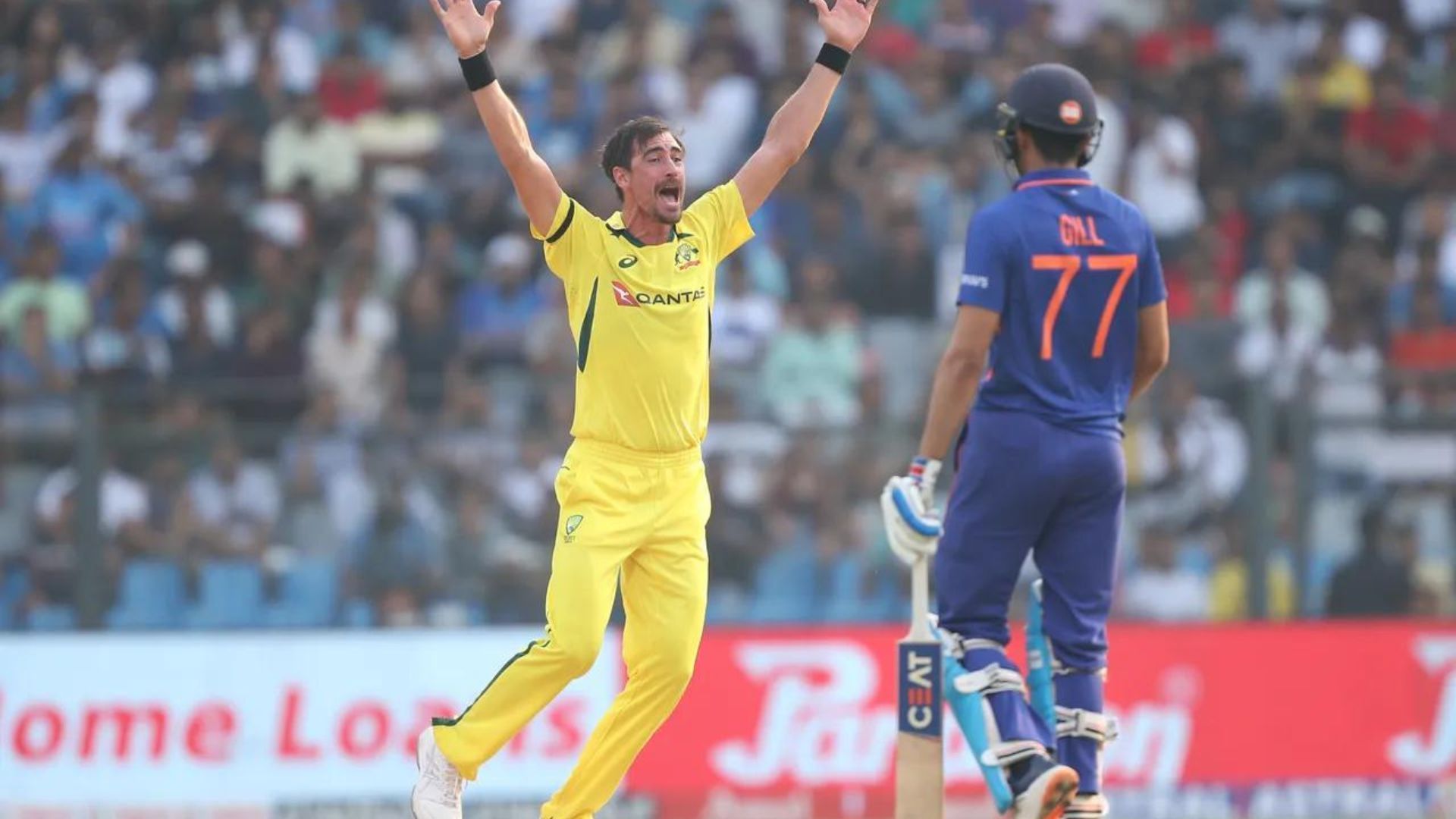 Mitchell Starc has caused India a lot of headaches already in thisn series (P.c.:BCCI)