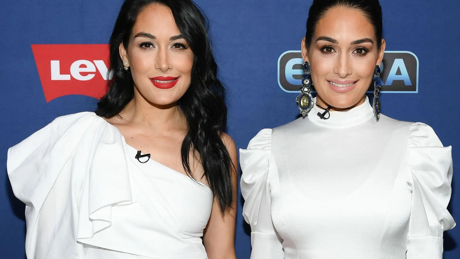 WWE Hall of Famers Nikki and Brie Bella