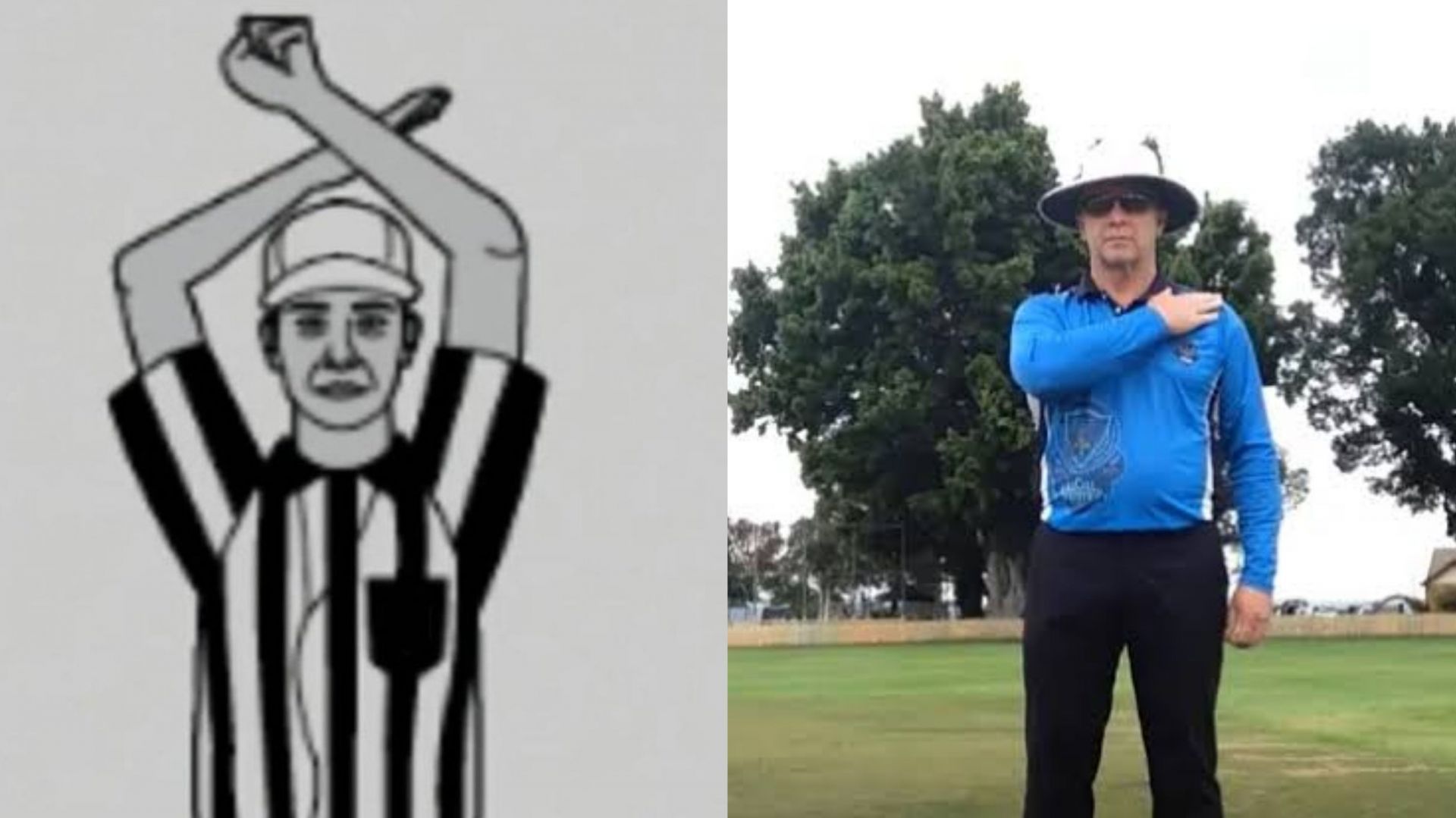 Umpire has some unique signals in cricket (Image: Twitter)