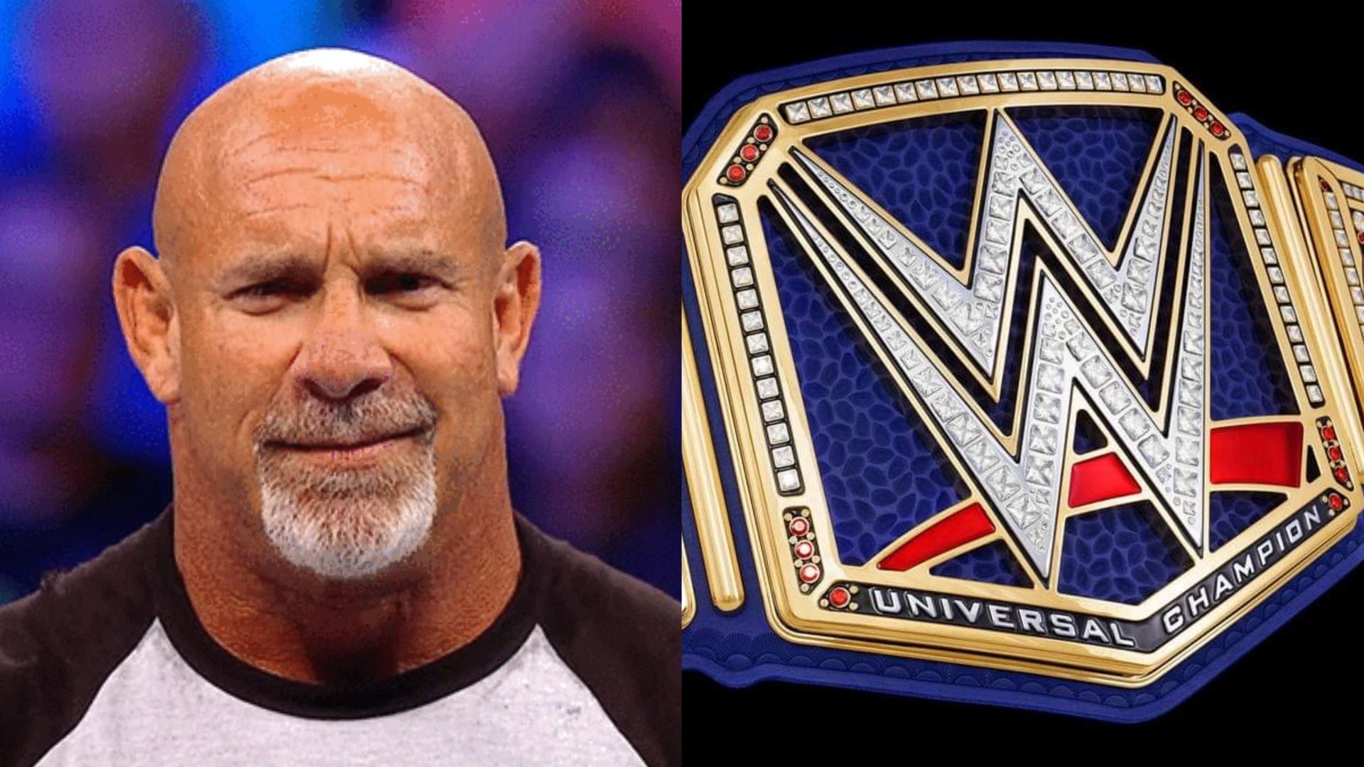 Goldberg has always been a divisive character in WWE