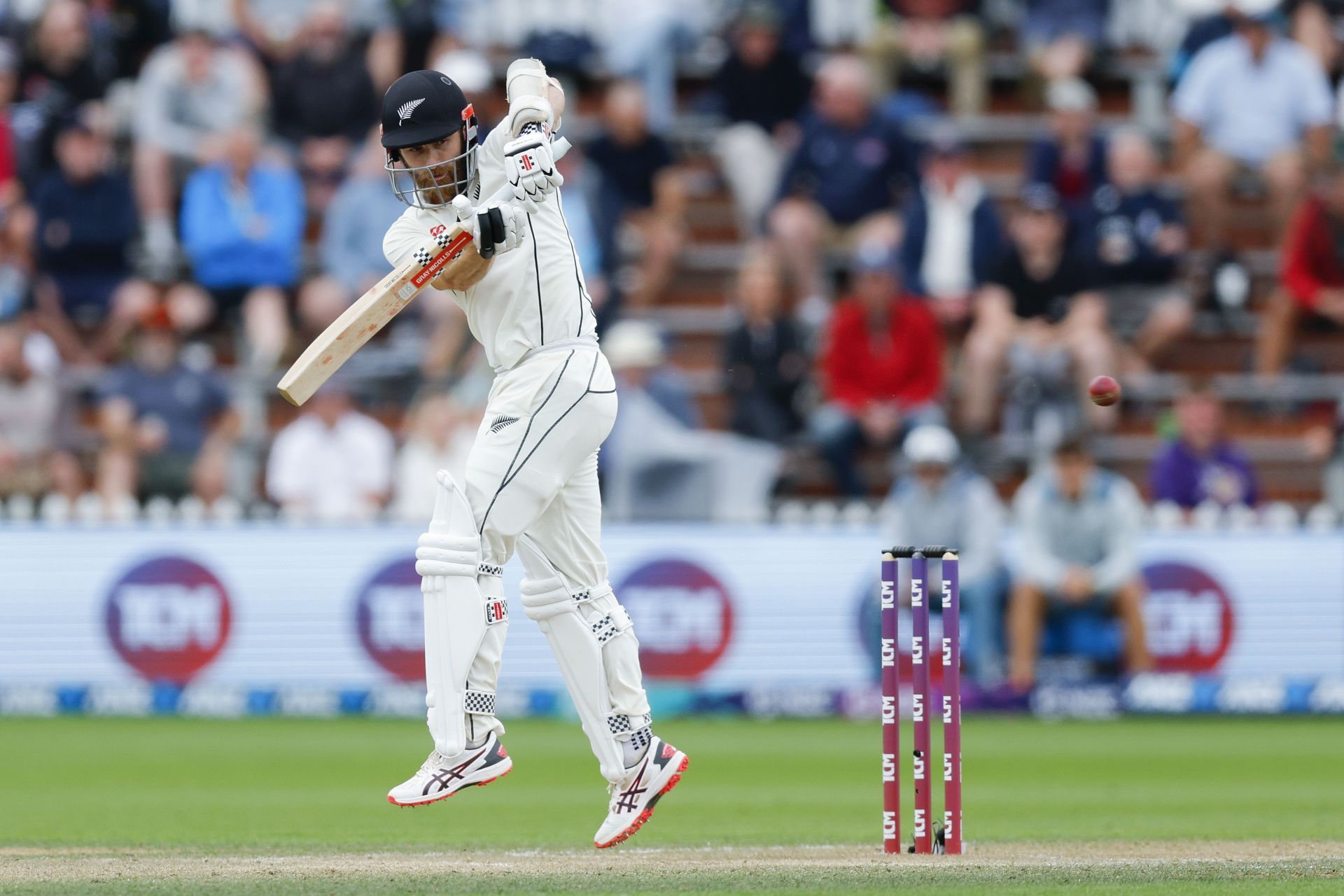 Kane Williamson. (Image Credits: Getty)