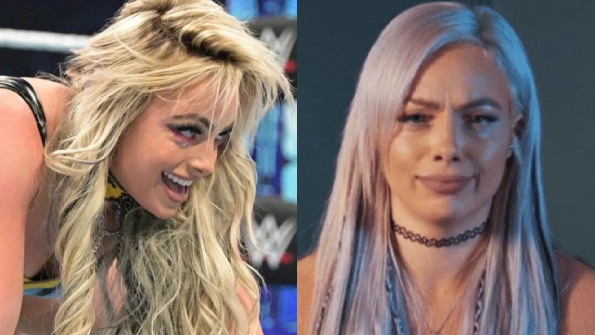 Liv Morgan took to social media to show off her new hairstyle