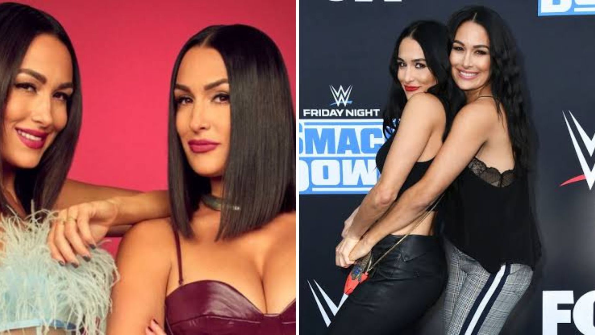 The Bella Twins recently left WWE.