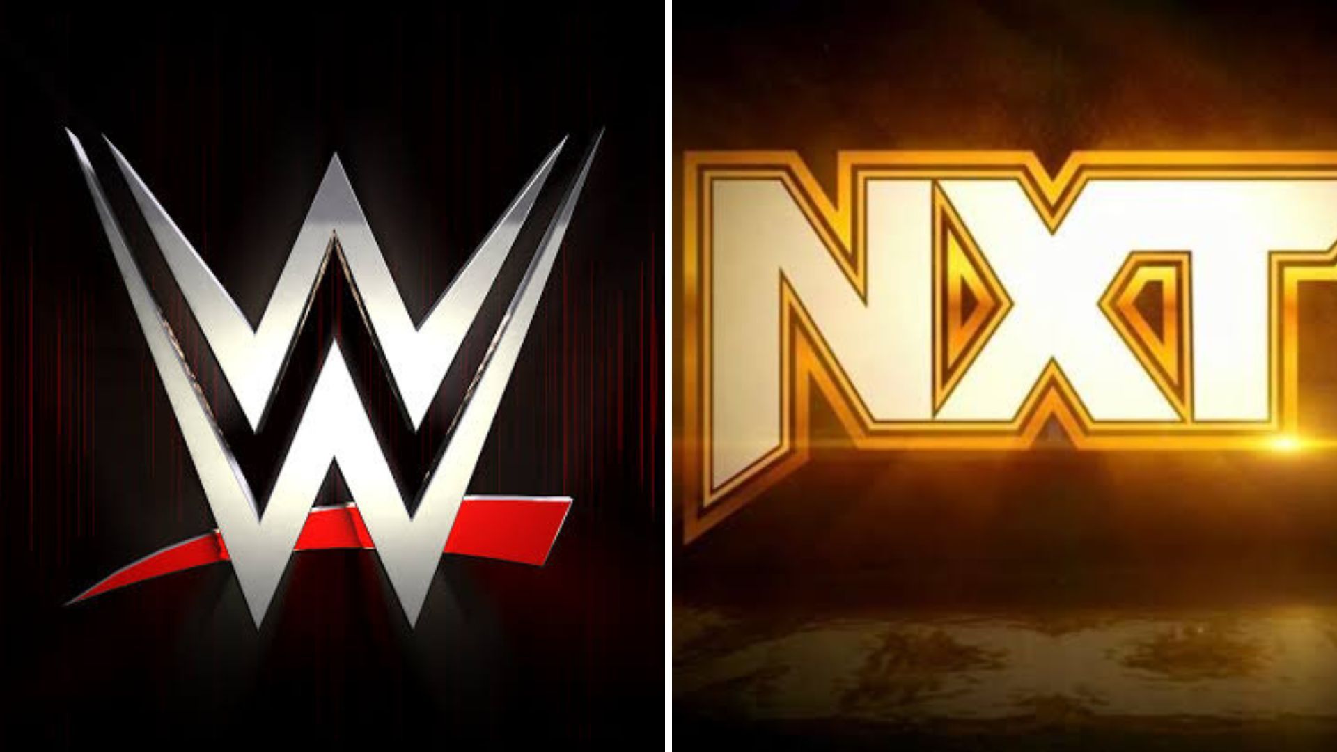 WWE NXT was once a reality game show.