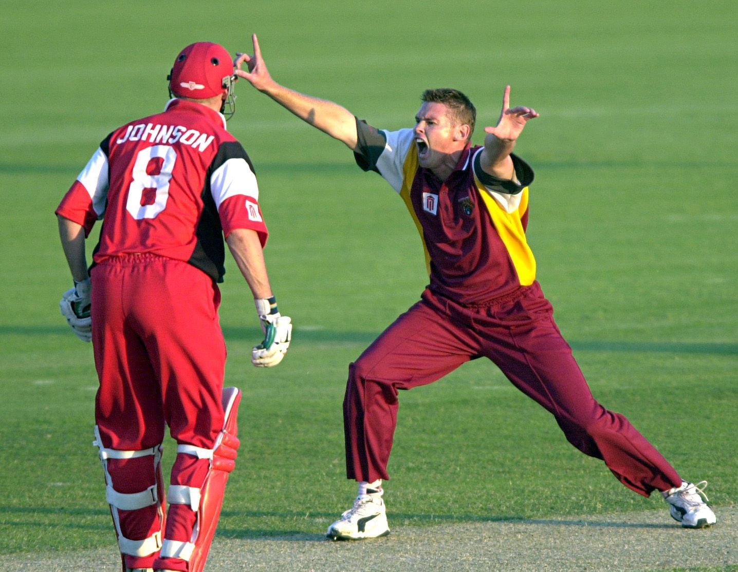 Ashley Noffke appeals for a wicket. Pic: Getty Images