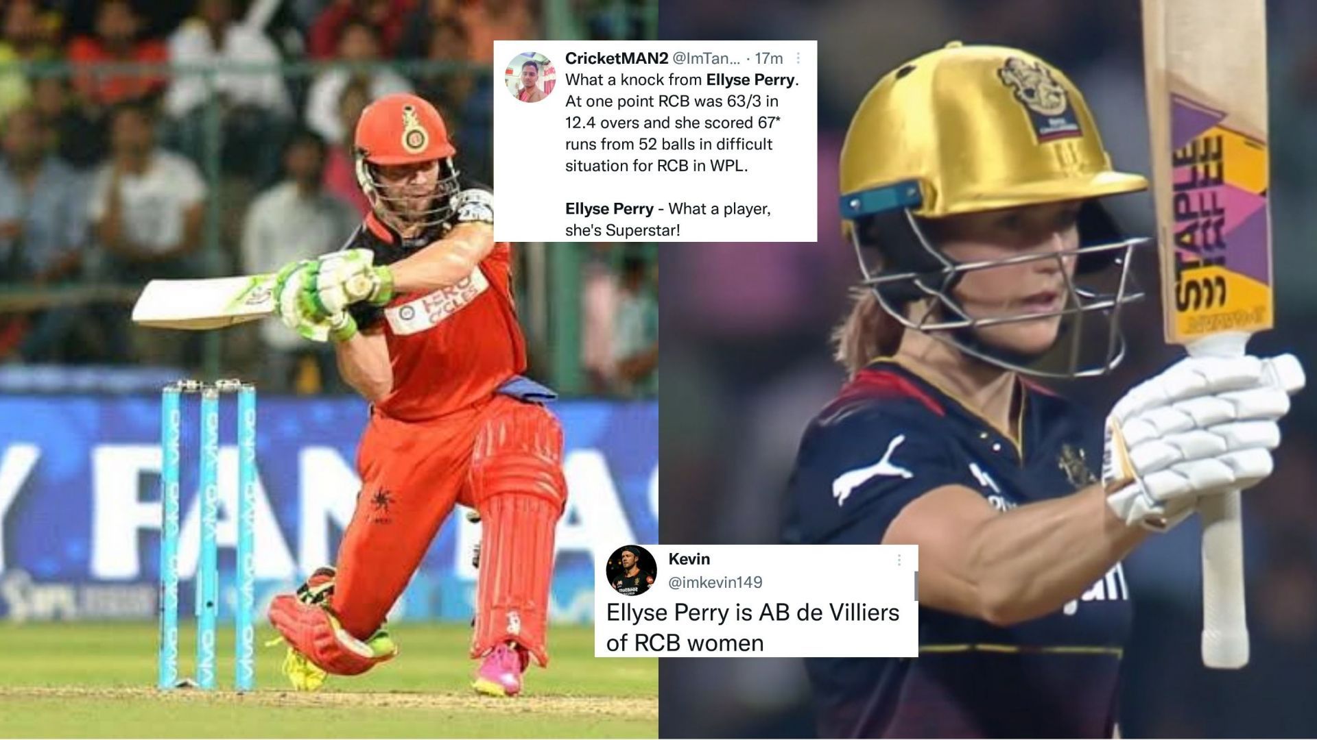 Ellyse Perry led RCB